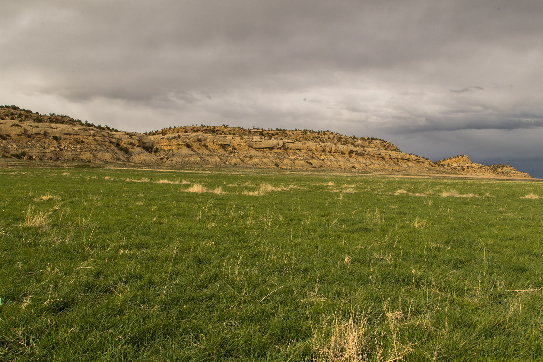 Saddle Horn Ranch property picture 14 of 25