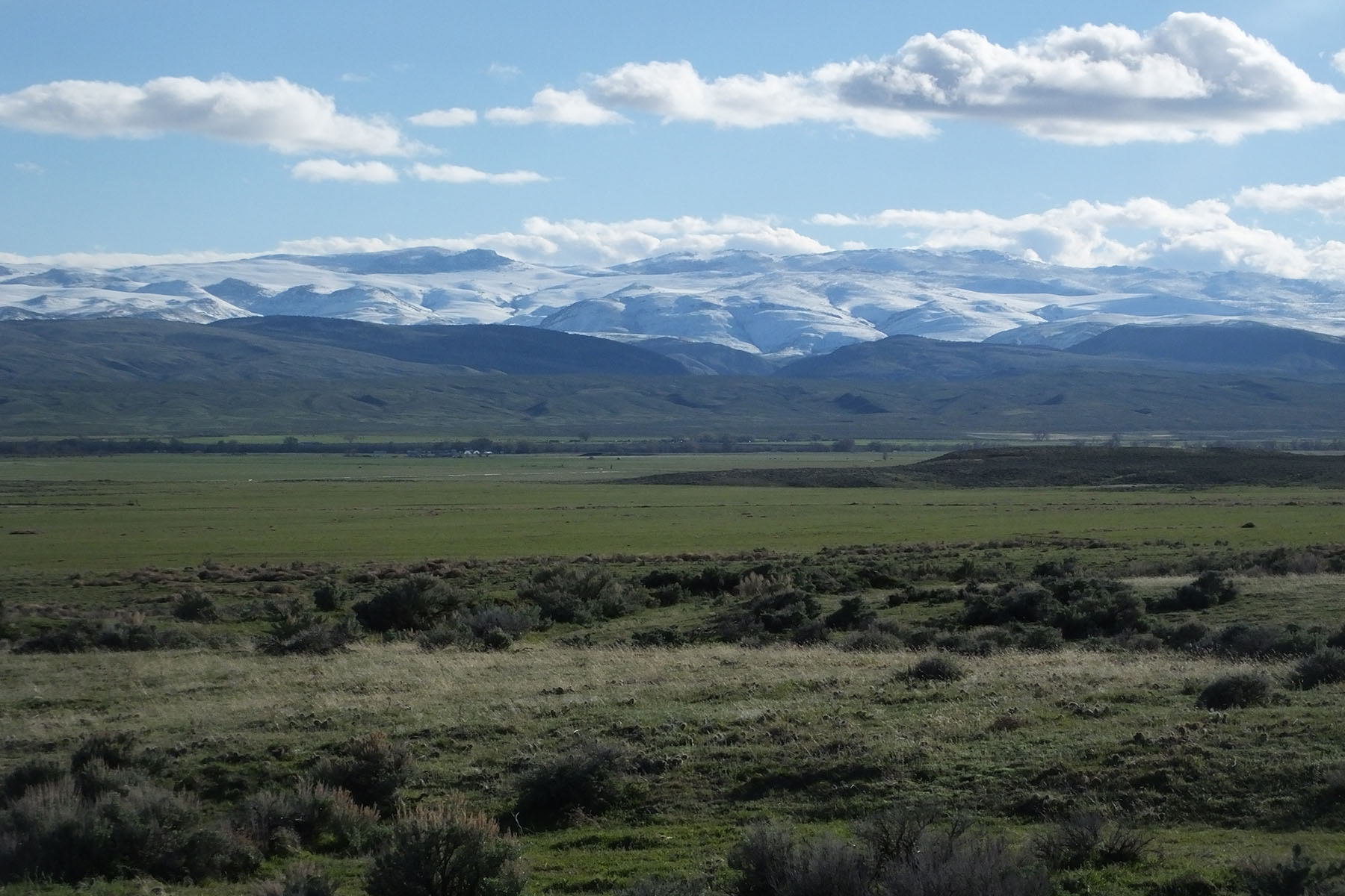 Saddle Horn Ranch property picture 18 of 25