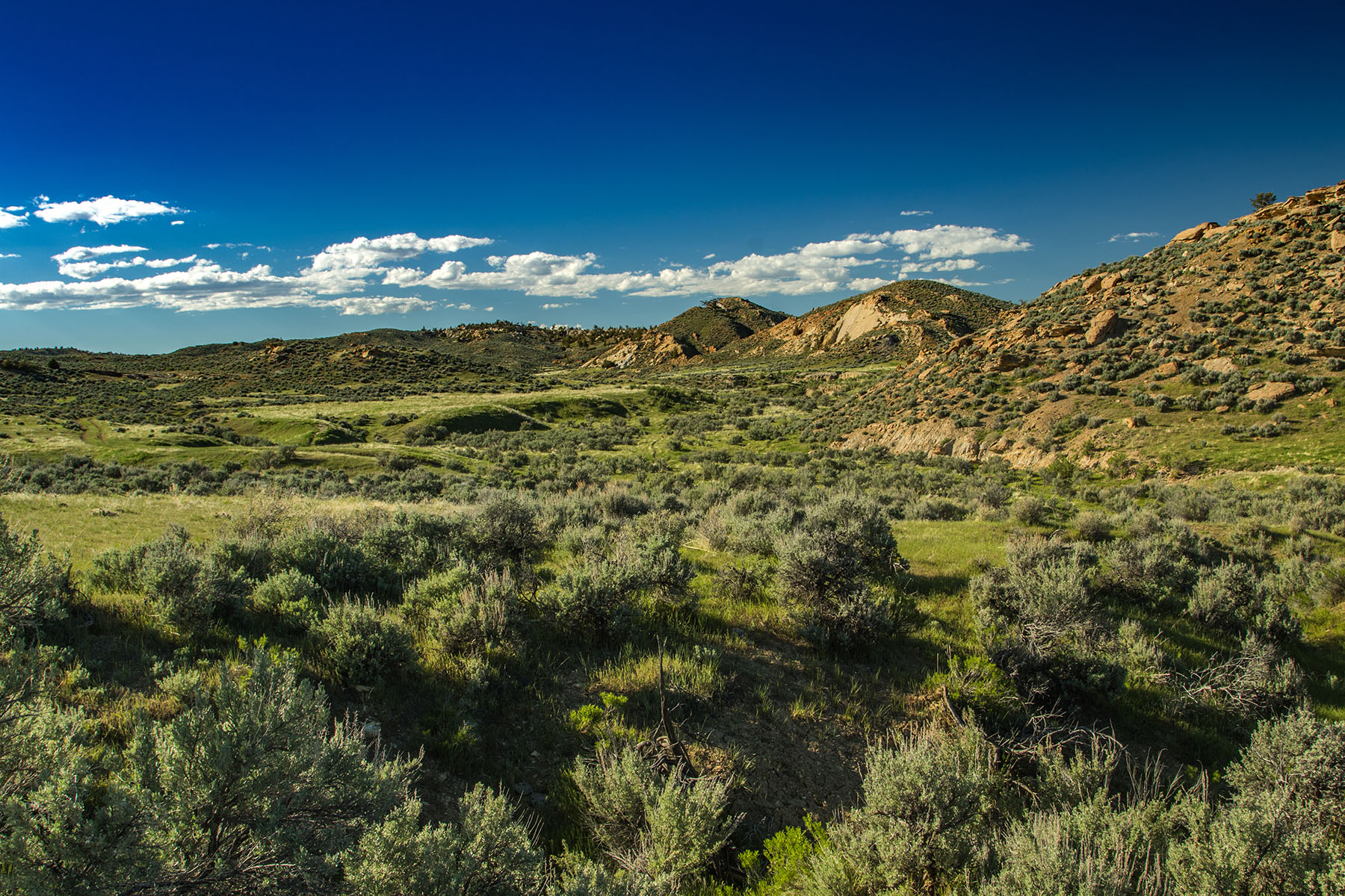Saddle Horn Ranch property picture 11 of 25