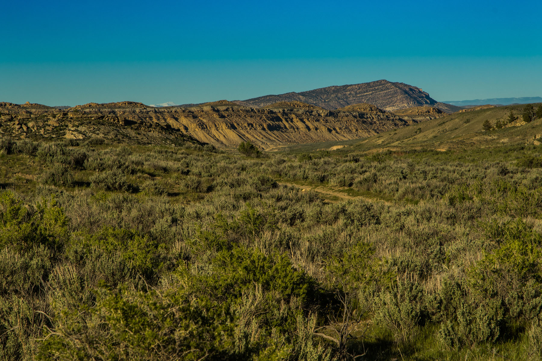 Saddle Horn Ranch property picture 15 of 25