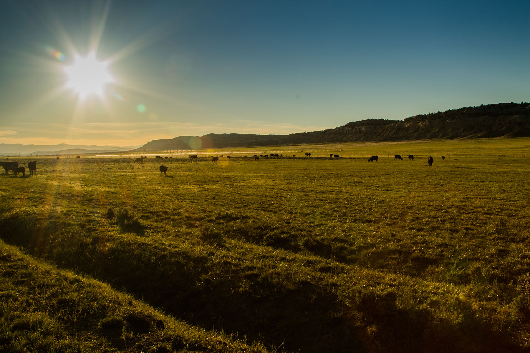 Saddle Horn Ranch property picture 4 of 25