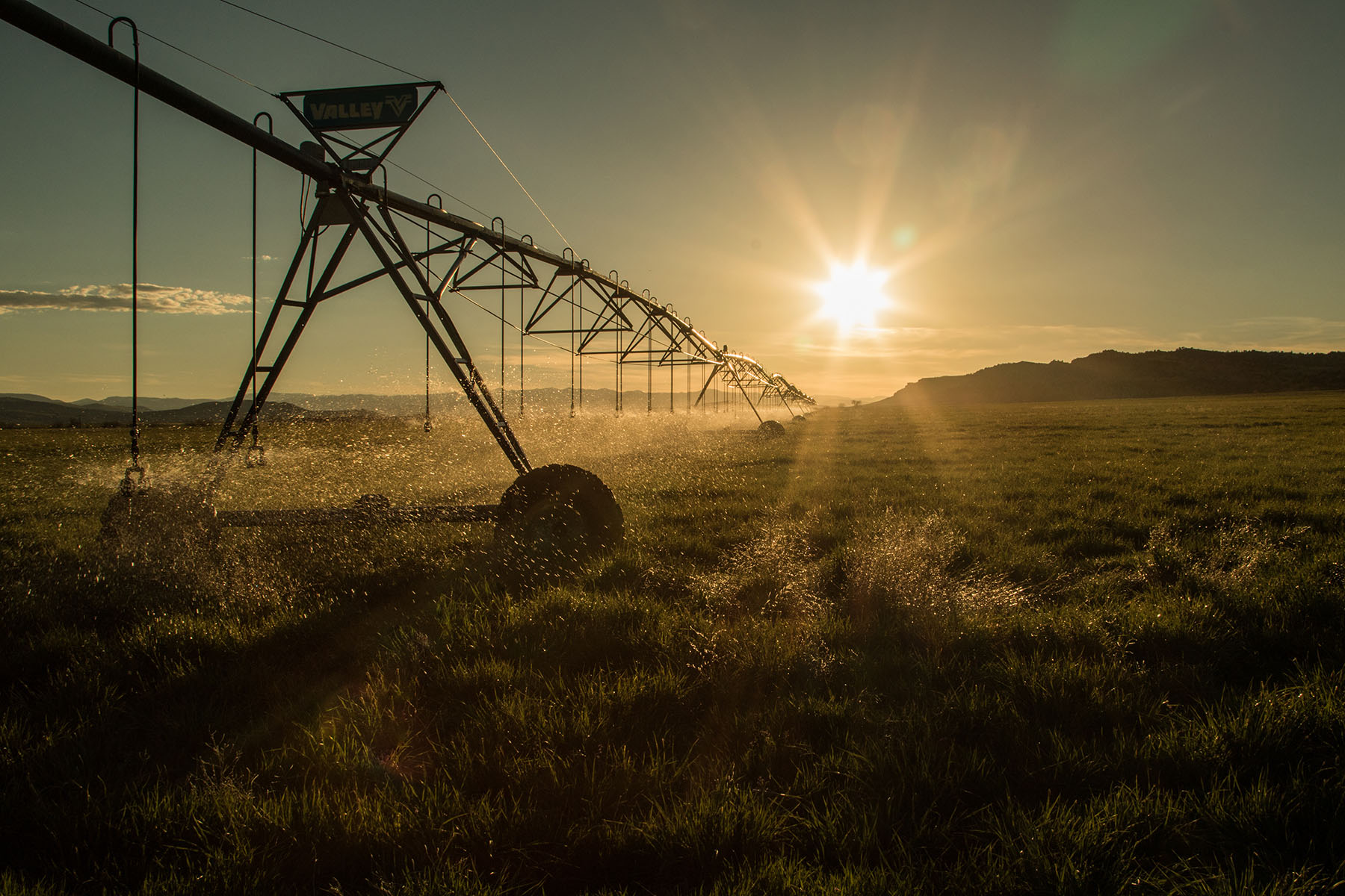 Saddle Horn Ranch property picture 13 of 25
