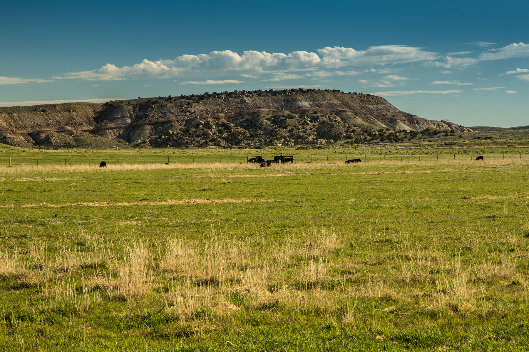 Saddle Horn Ranch property picture 7 of 25
