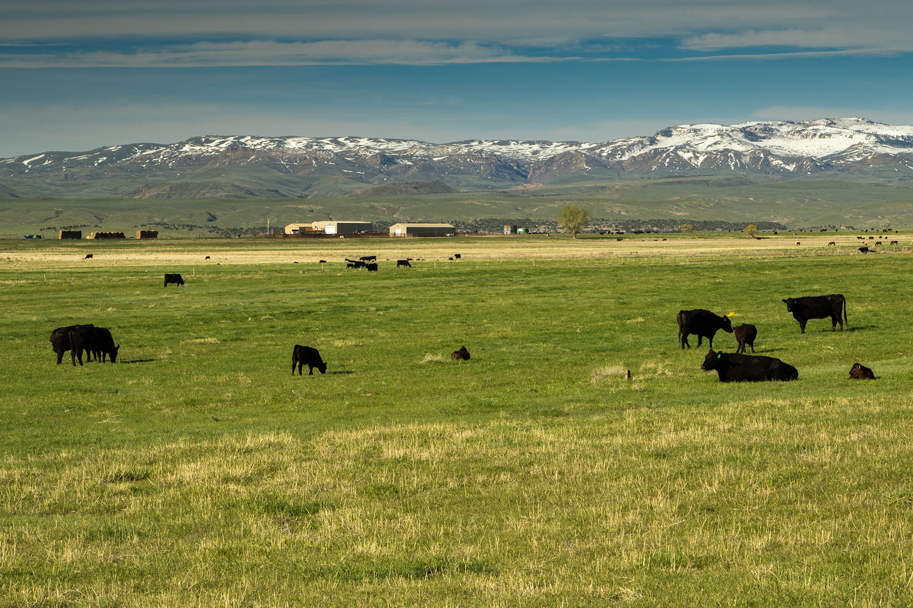 Saddle Horn Ranch property picture 16 of 25
