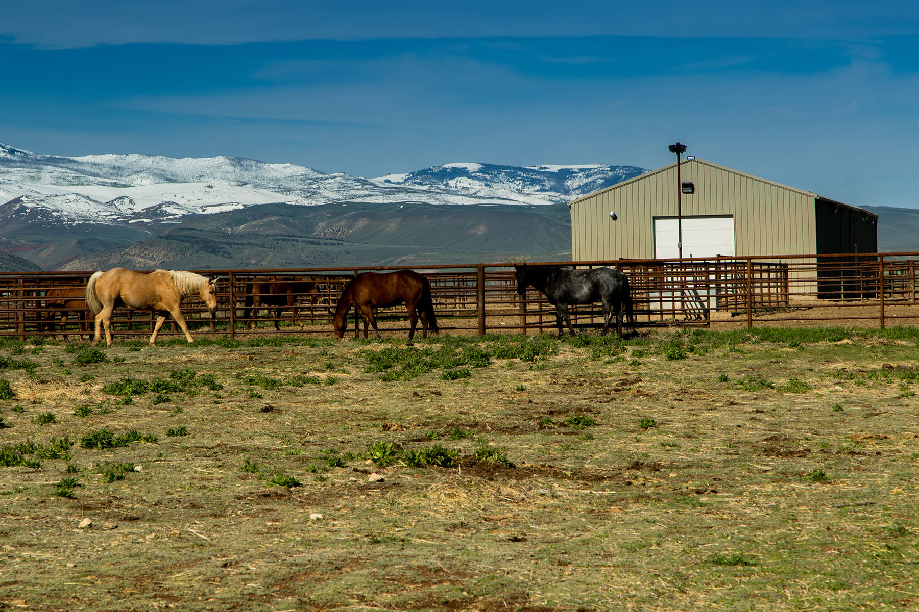 Saddle Horn Ranch property picture 19 of 25