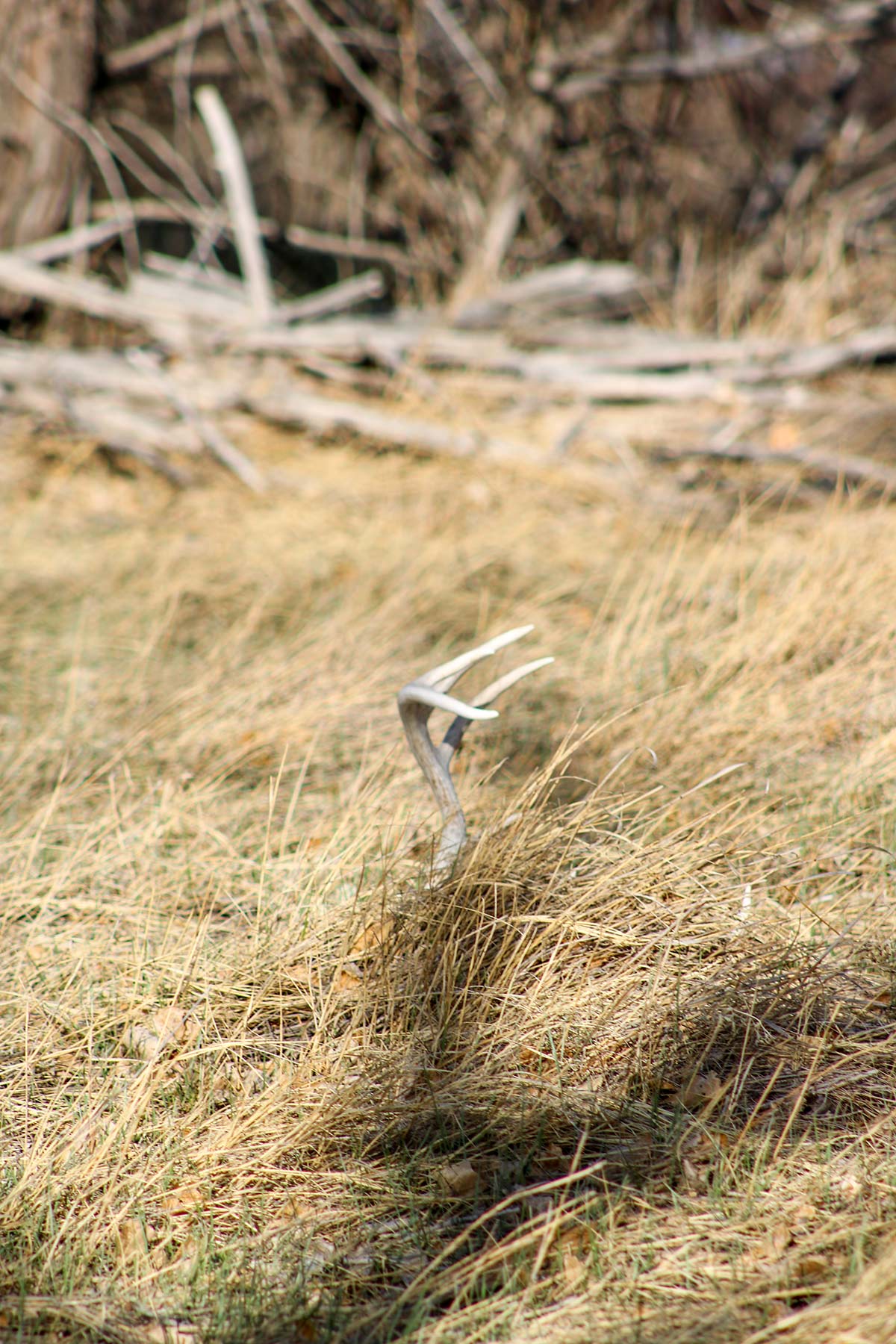 Double K Ranch property picture 23 of 26