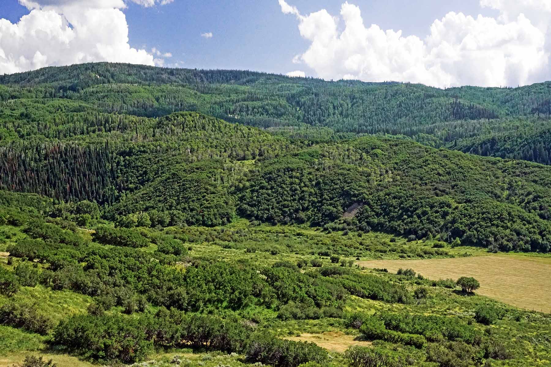 Motherwell Ranch property picture 82 of 128