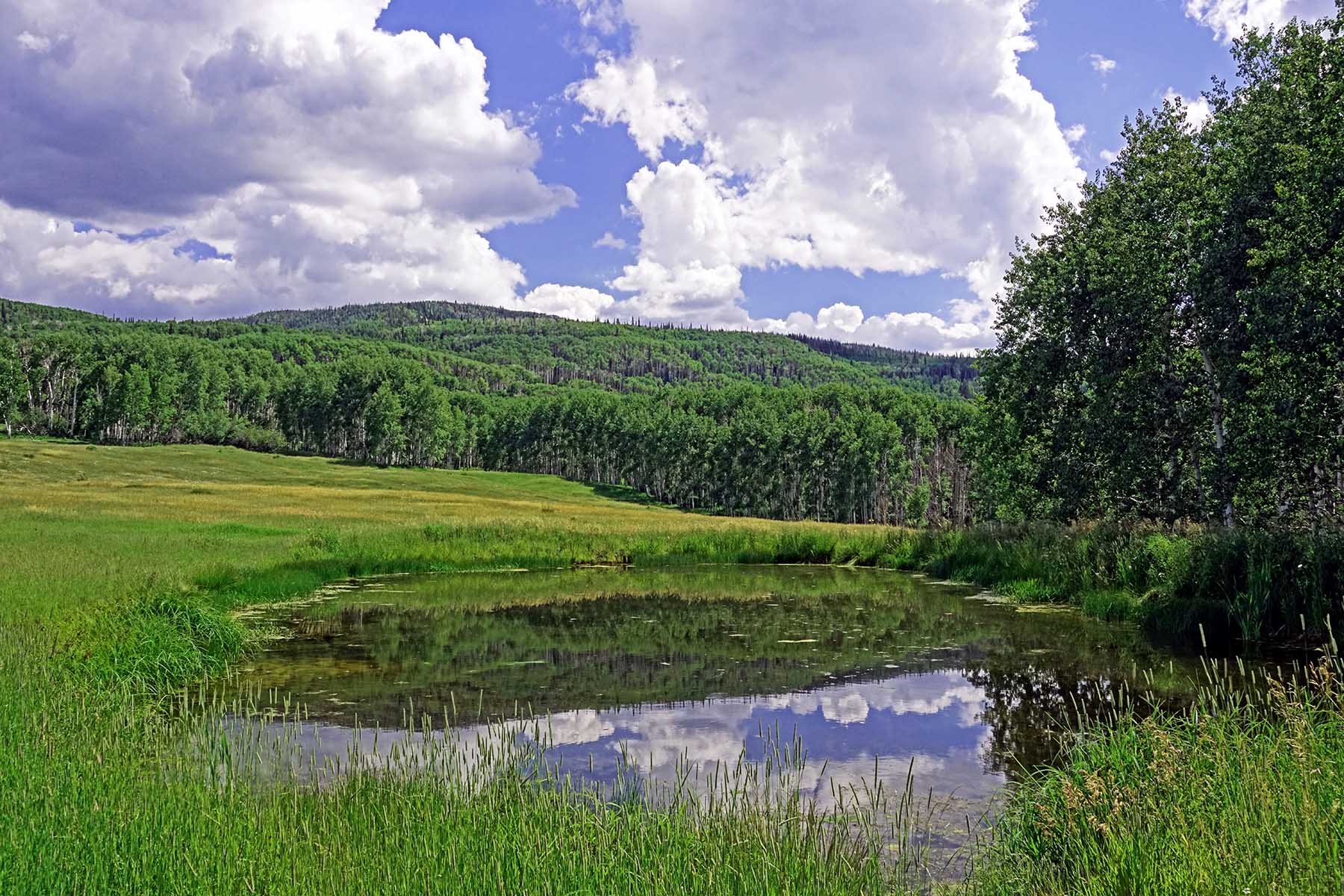 Motherwell Ranch property picture 54 of 128