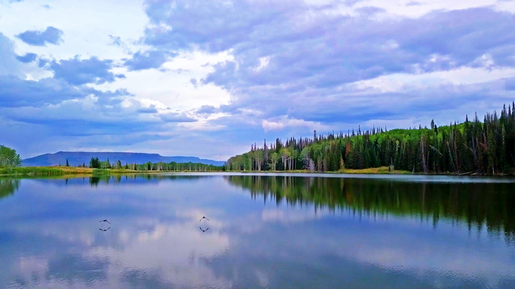 Motherwell Ranch property picture 14 of 128