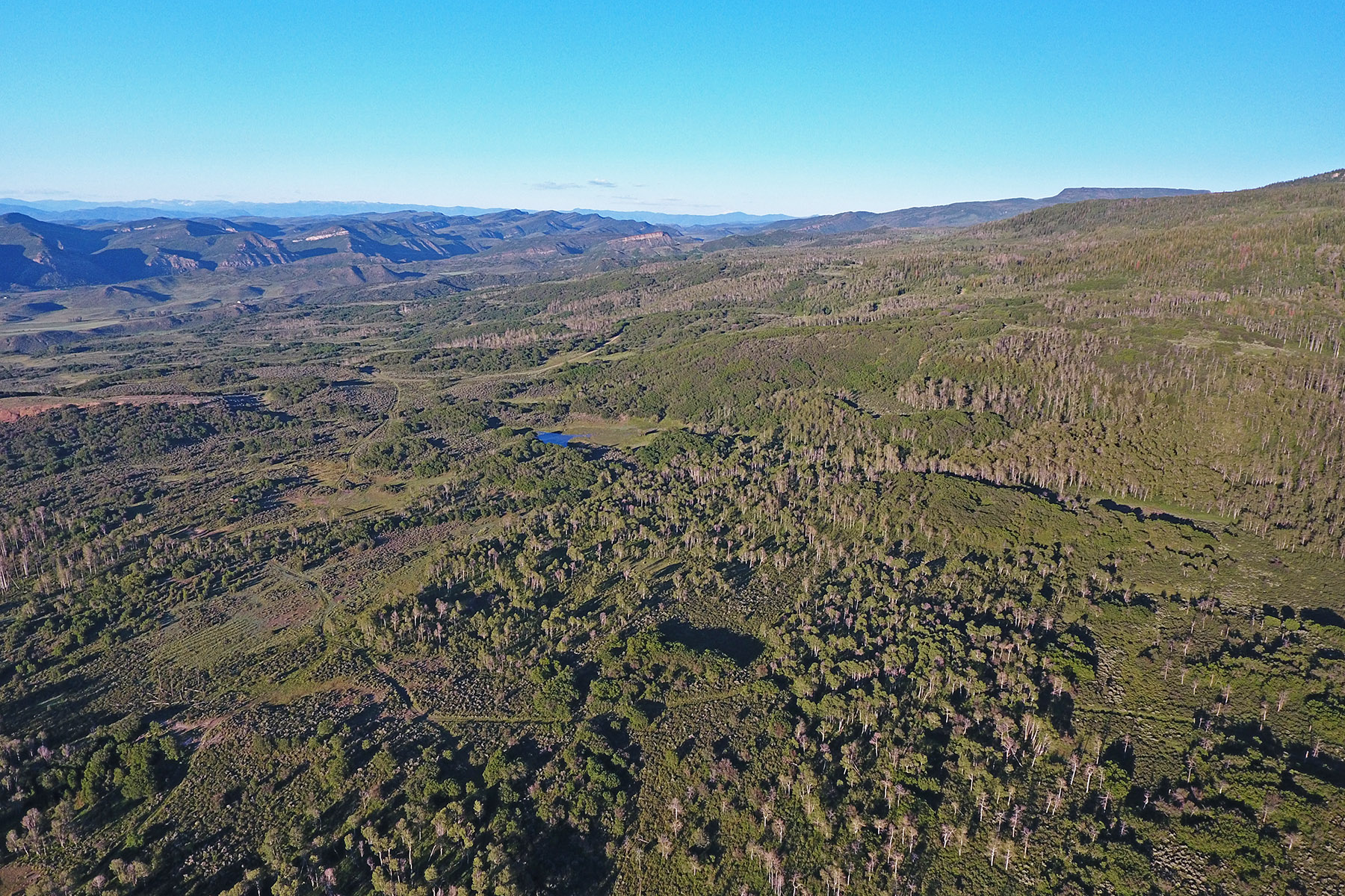 Motherwell Ranch property picture 7 of 128