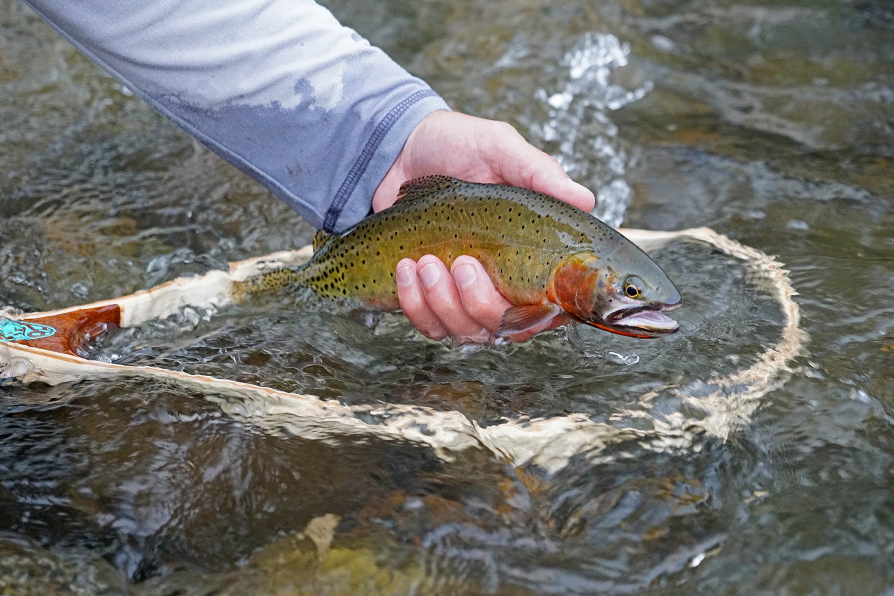 Motherwell Ranch property picture 20 of 128