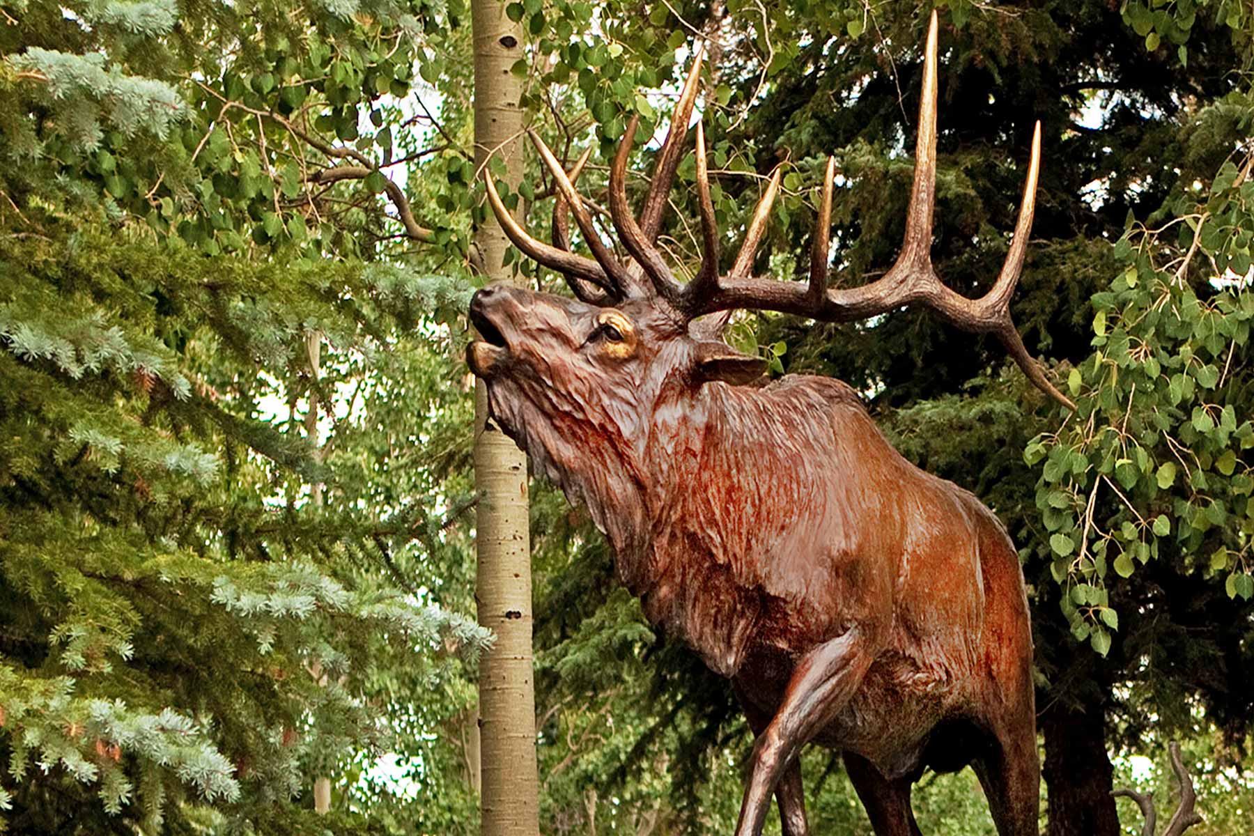 Motherwell Ranch property picture 94 of 128