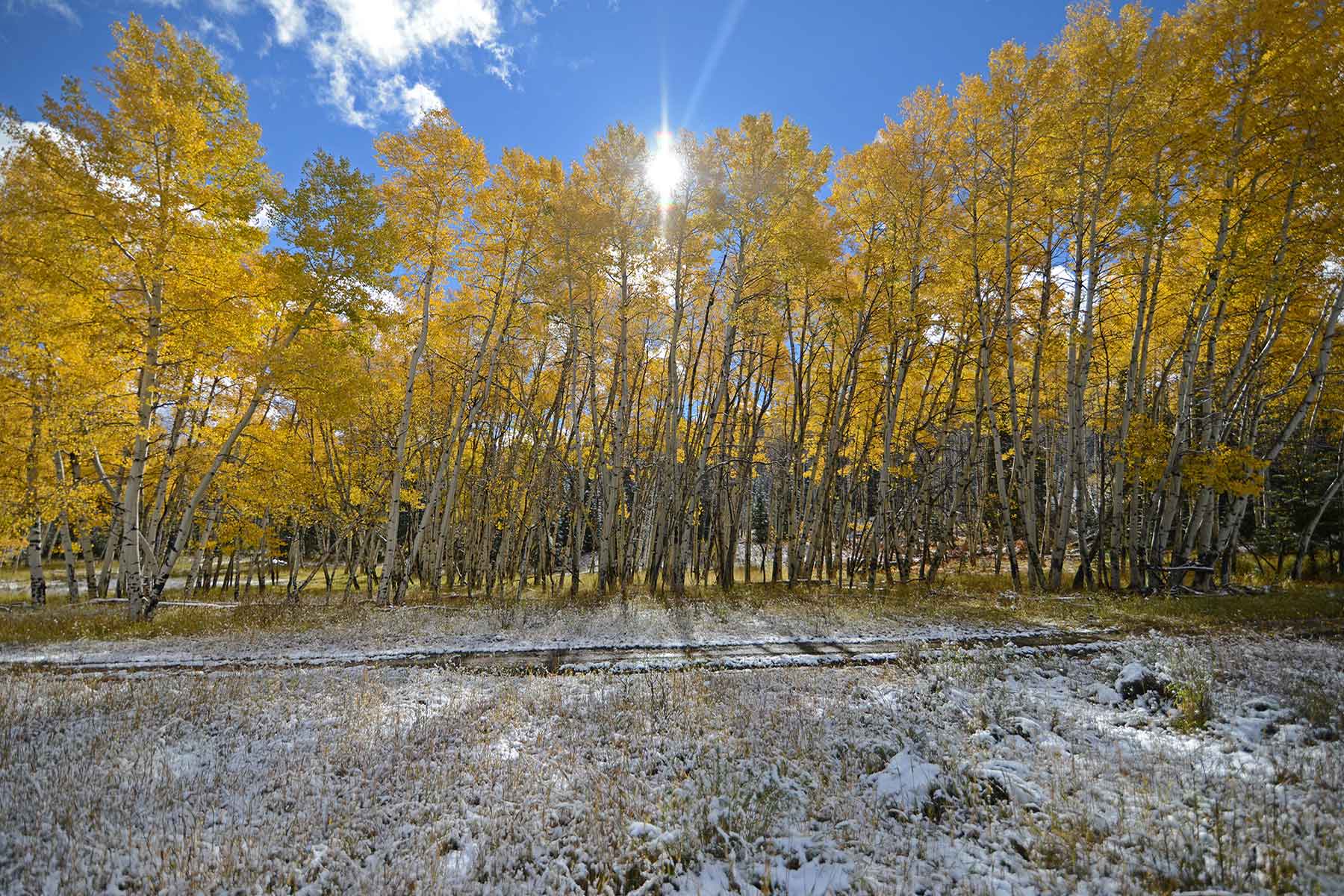 Motherwell Ranch property picture 96 of 128