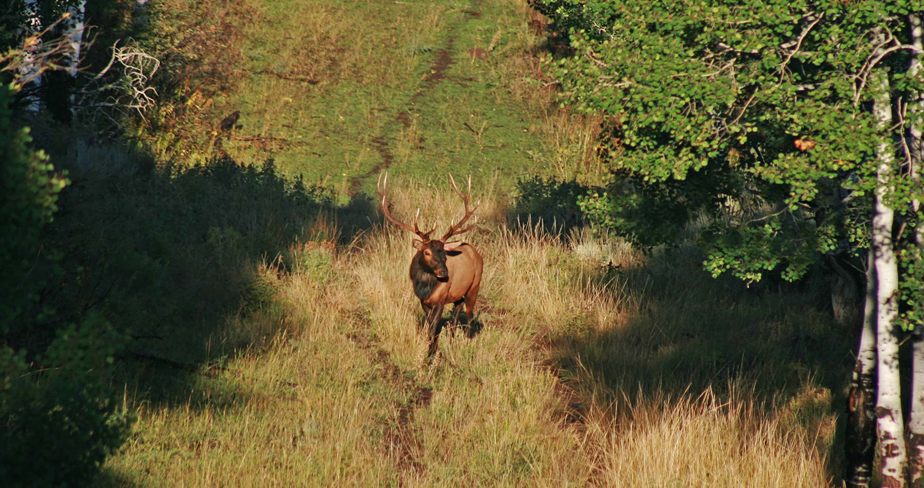Motherwell Ranch property picture 104 of 128