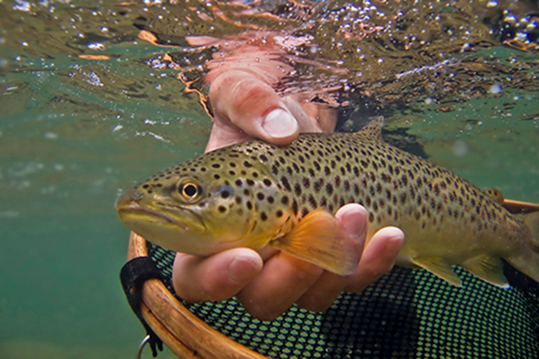 Motherwell Ranch property picture 101 of 128