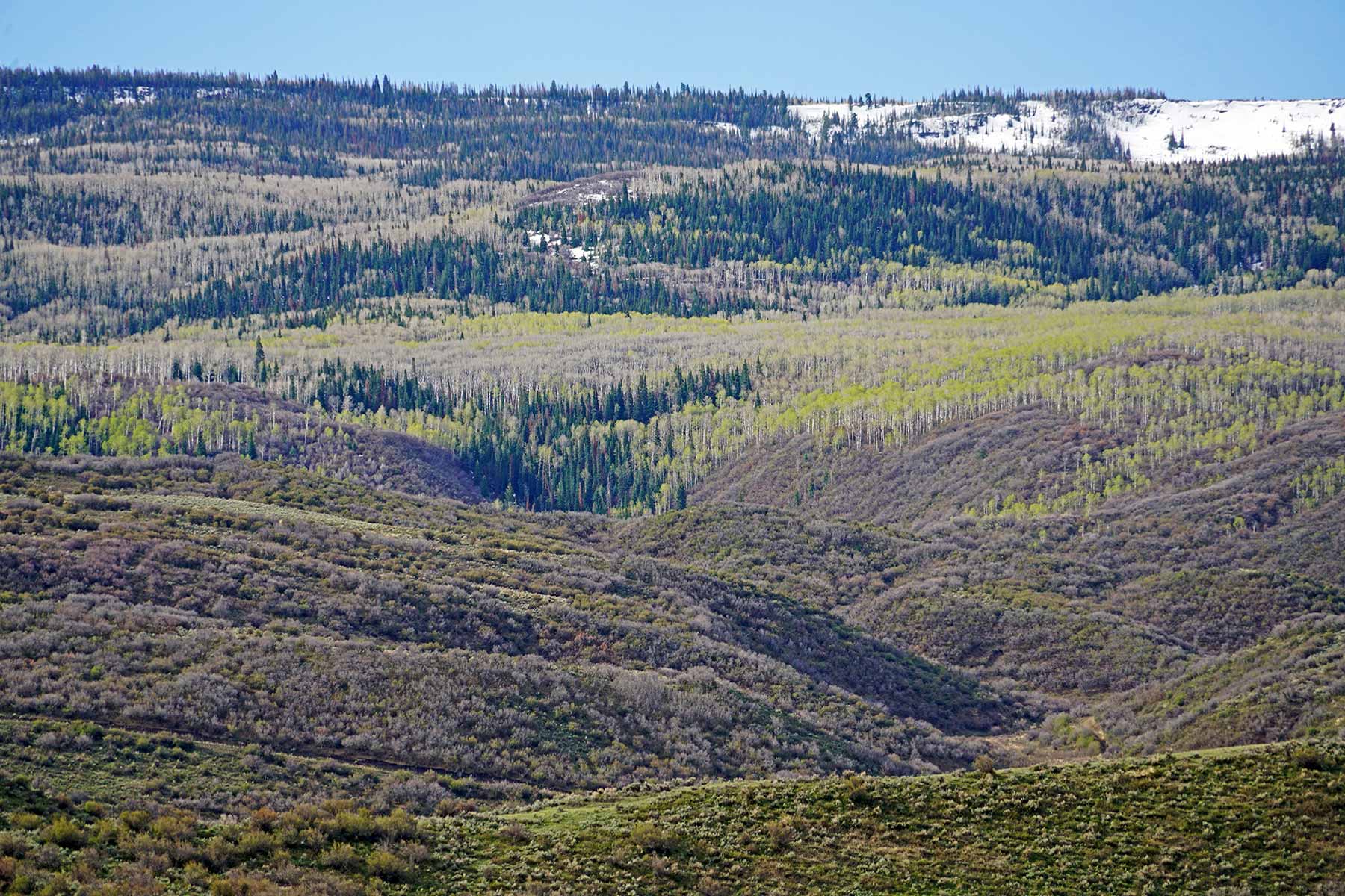 Motherwell Ranch property picture 93 of 128