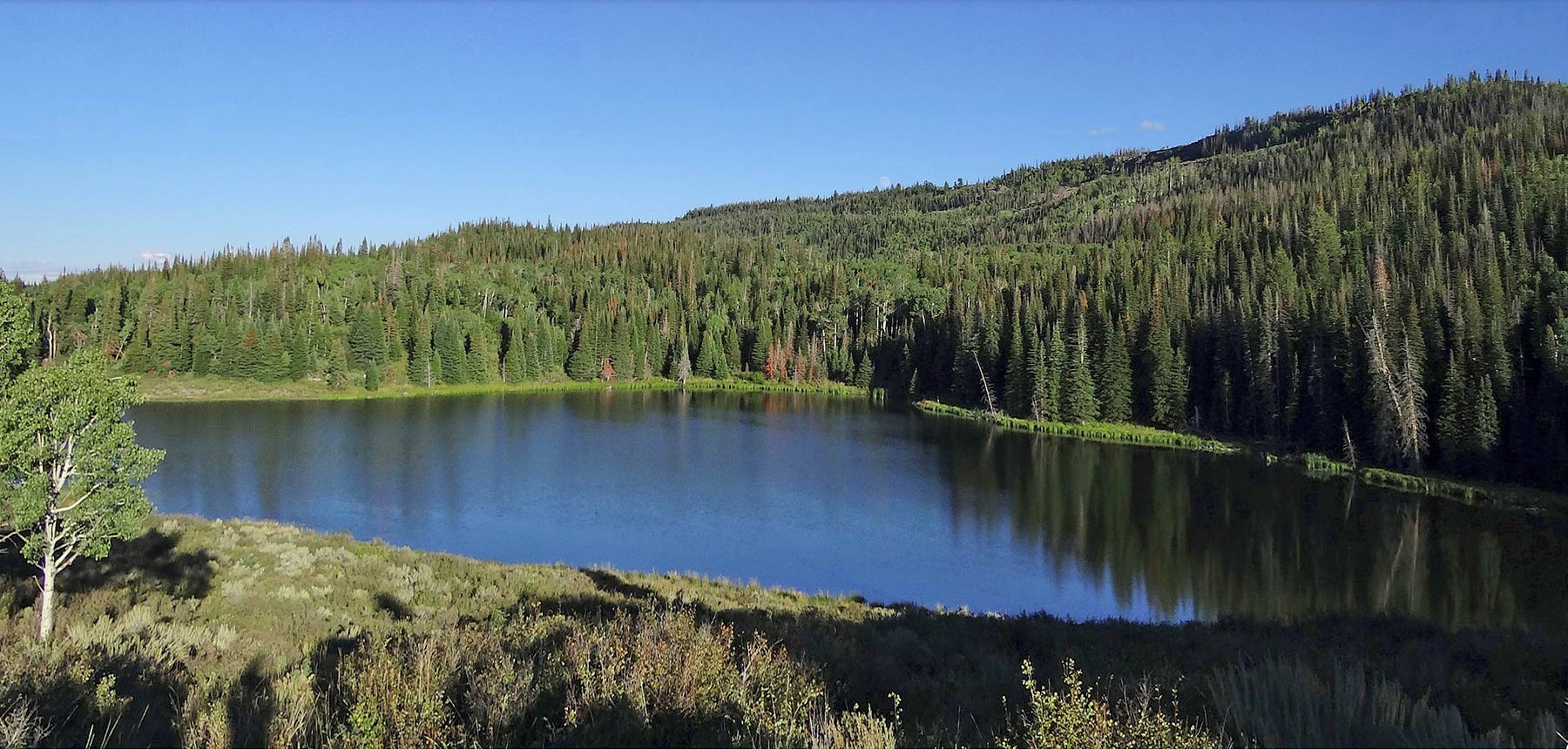 Motherwell Ranch property picture 38 of 128