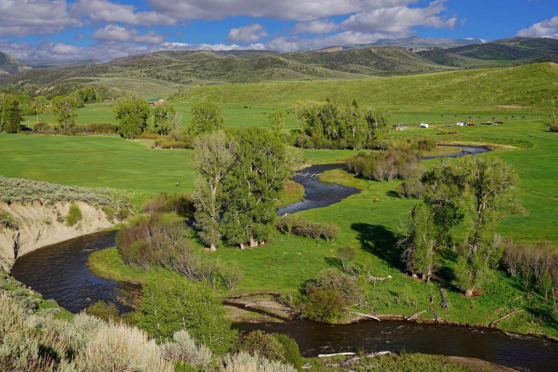 Motherwell Ranch property picture 30 of 128