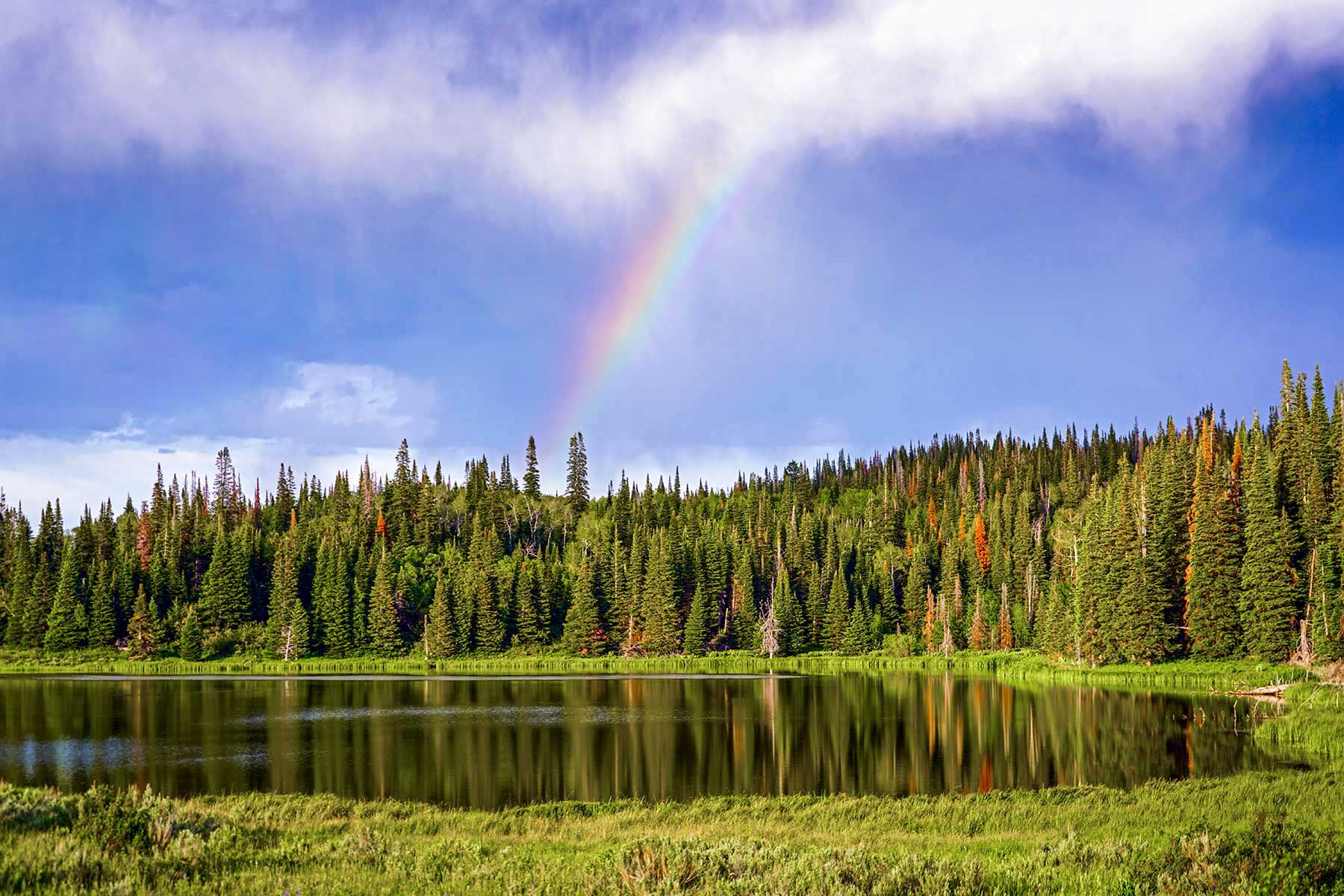 Motherwell Ranch property picture 105 of 128