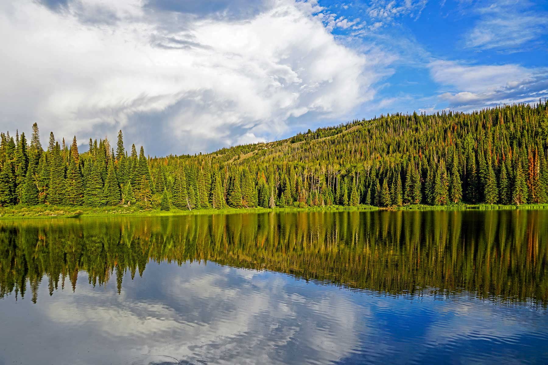 Motherwell Ranch property picture 31 of 128