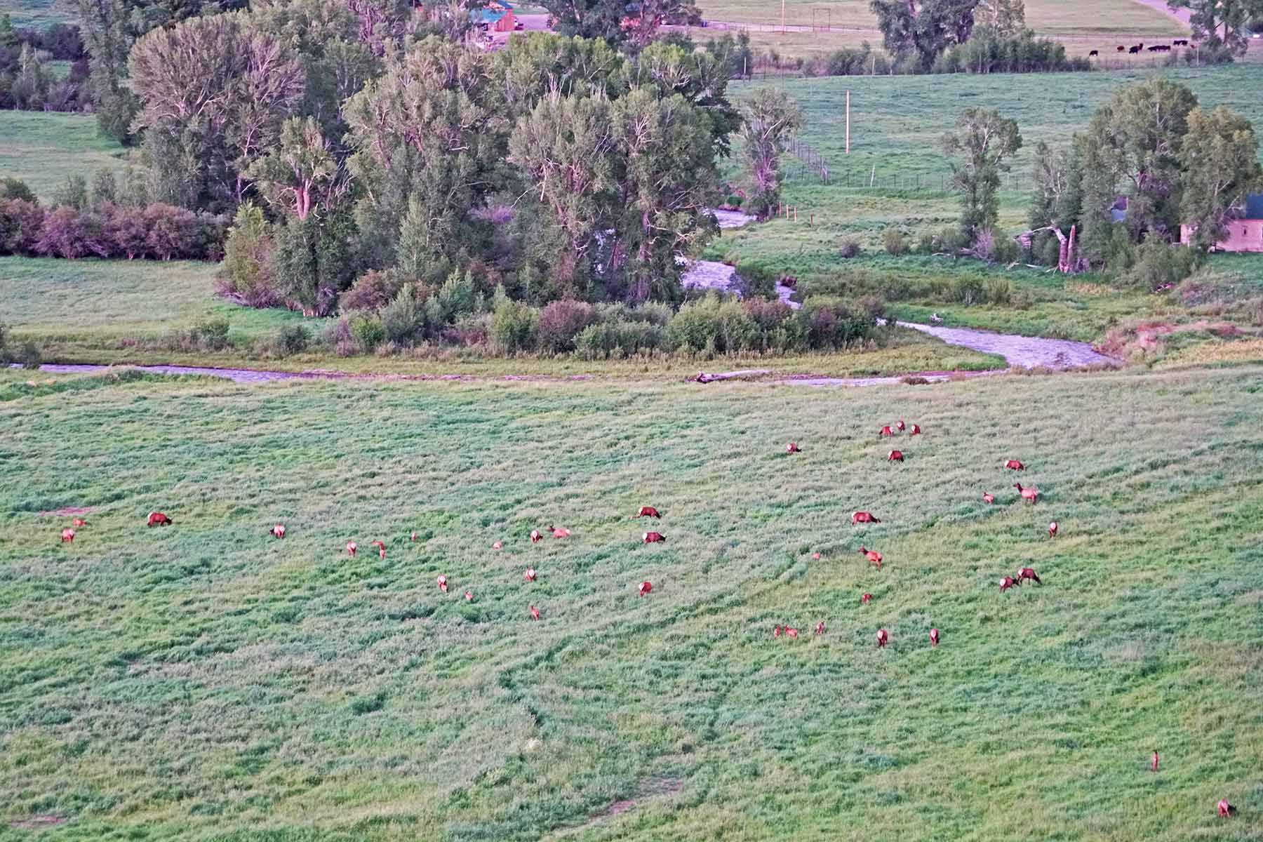 Motherwell Ranch property picture 17 of 128