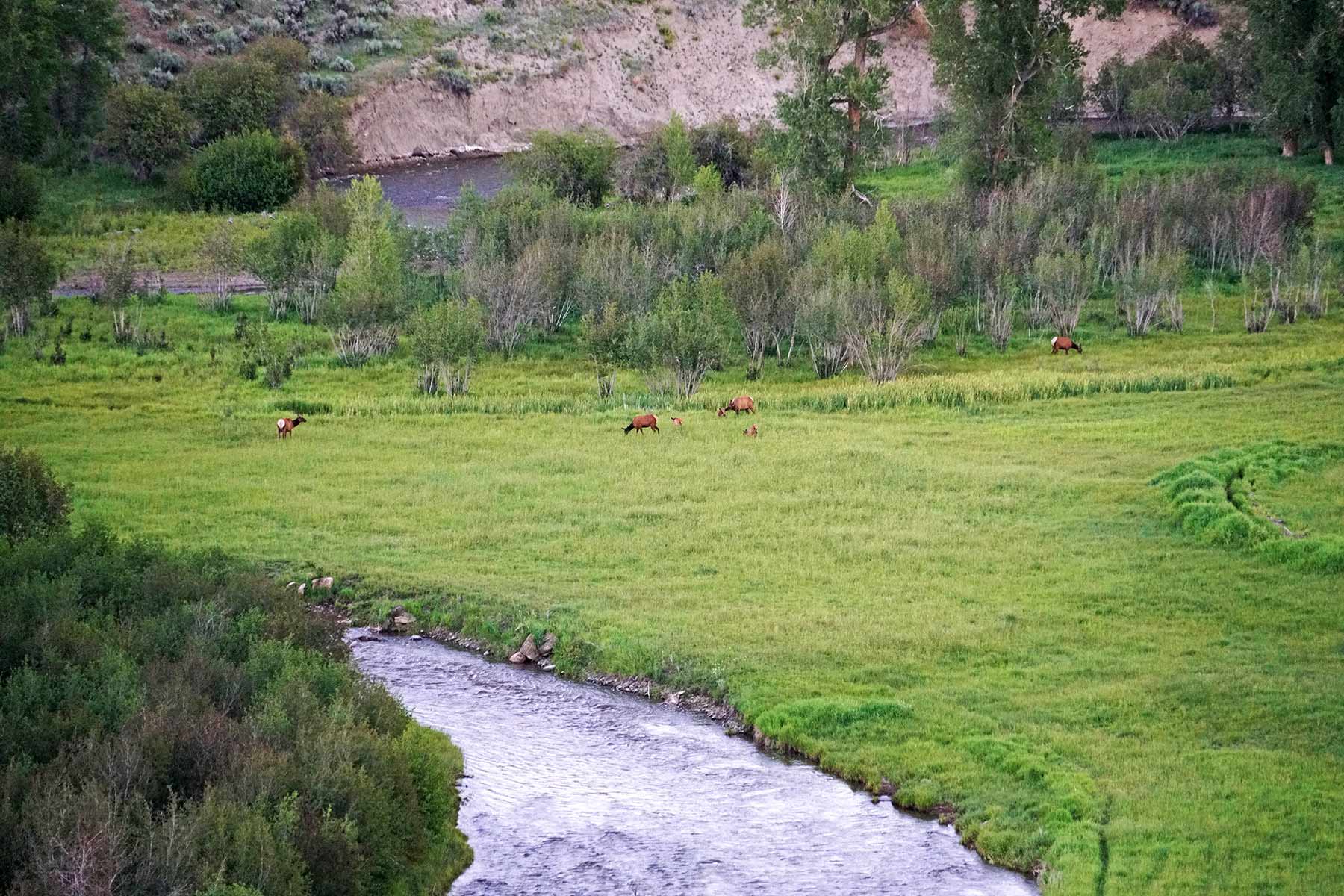Motherwell Ranch property picture 41 of 128