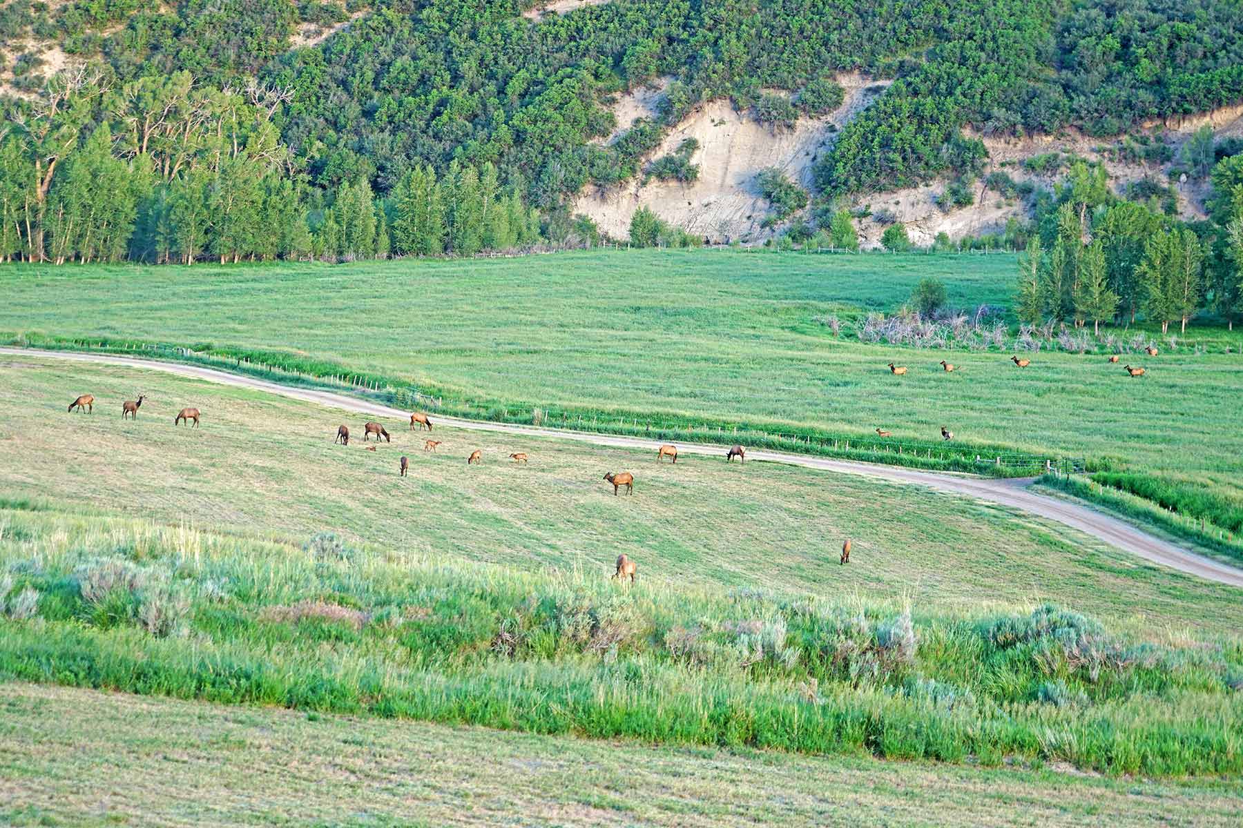 Motherwell Ranch property picture 40 of 128