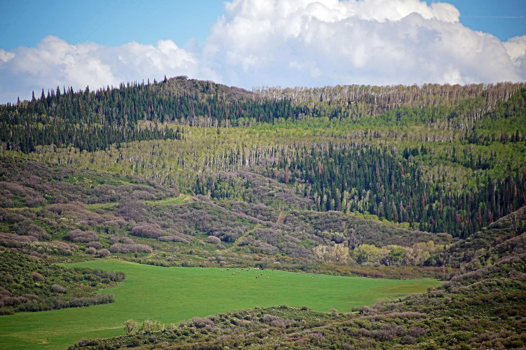 Motherwell Ranch property picture 119 of 128