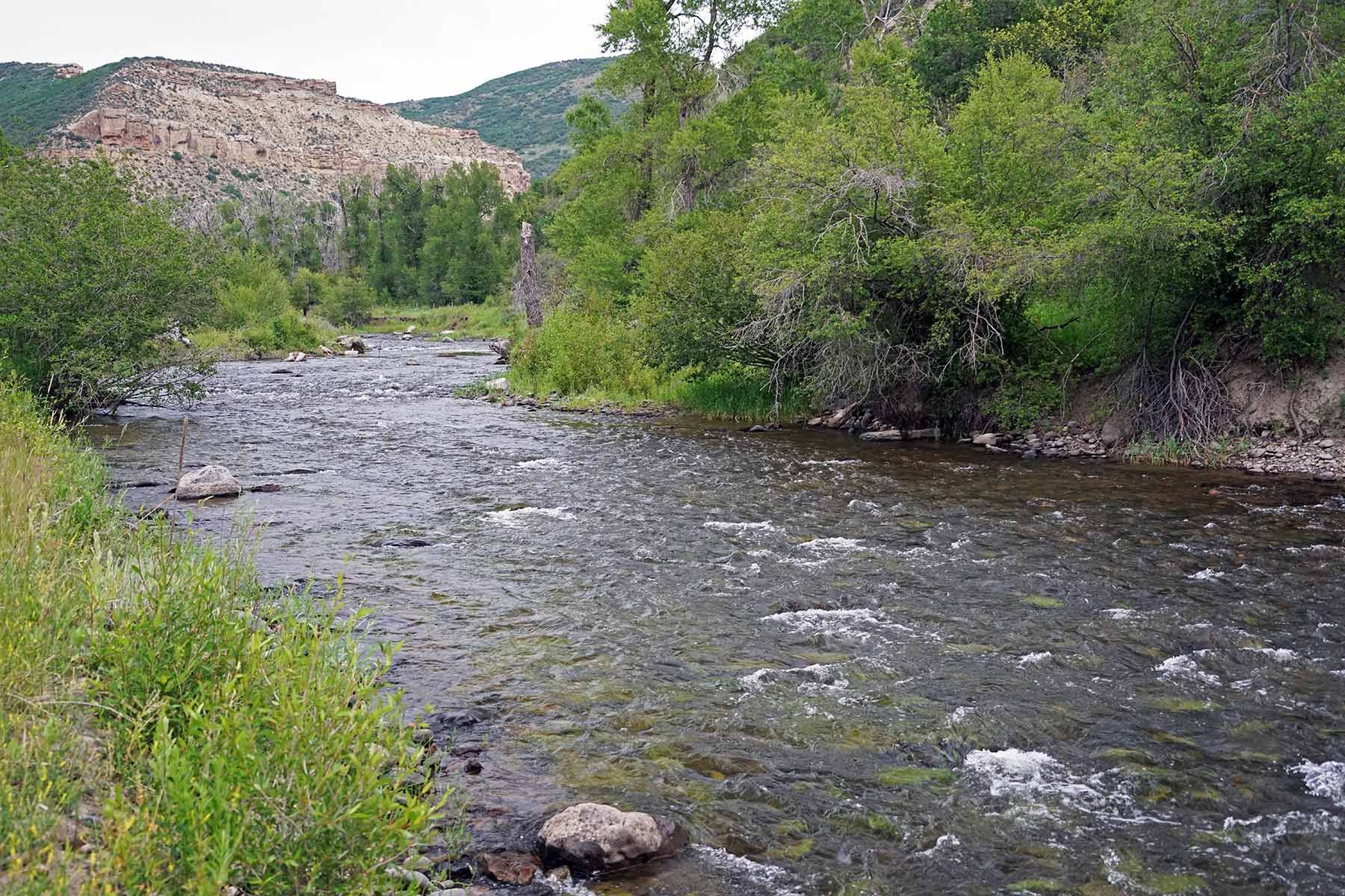 Motherwell Ranch property picture 61 of 128