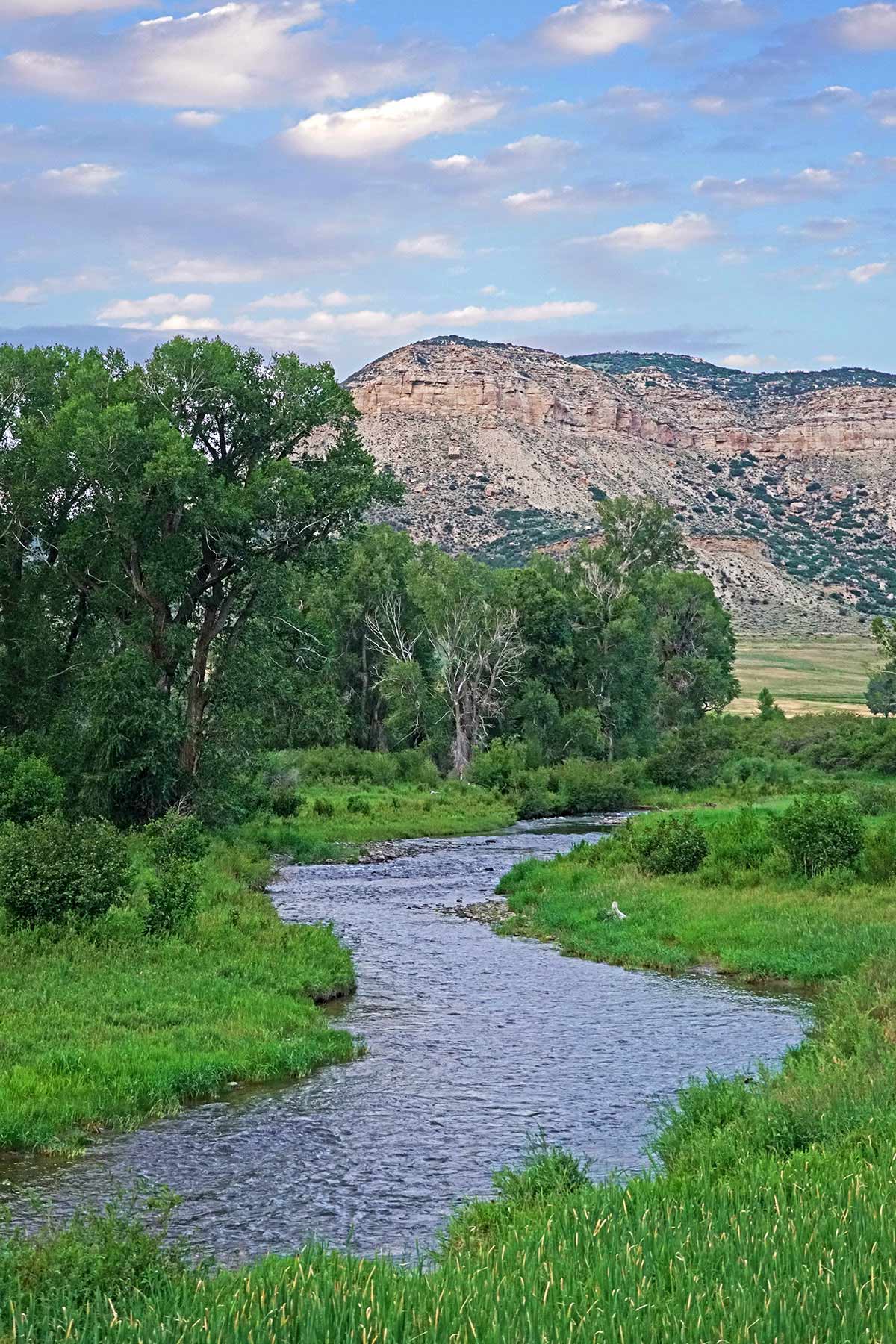 Motherwell Ranch property picture 55 of 128