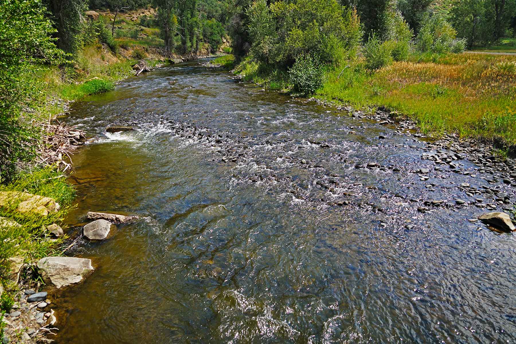 Motherwell Ranch property picture 47 of 128