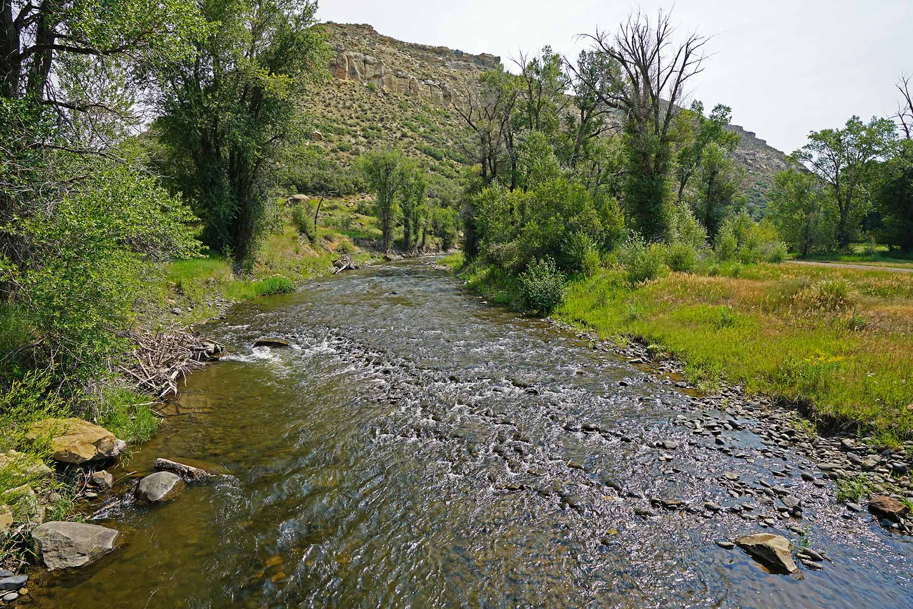 Motherwell Ranch property picture 84 of 128