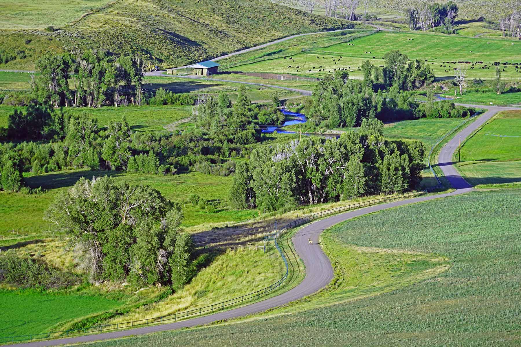 Motherwell Ranch property picture 48 of 128