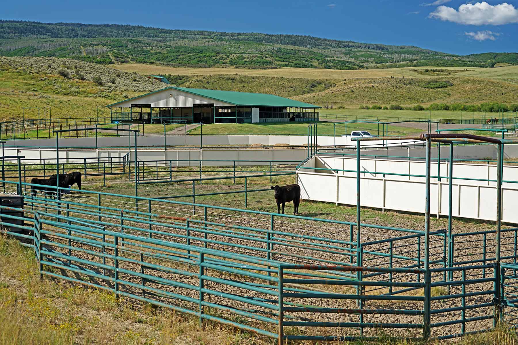 Motherwell Ranch property picture 72 of 128