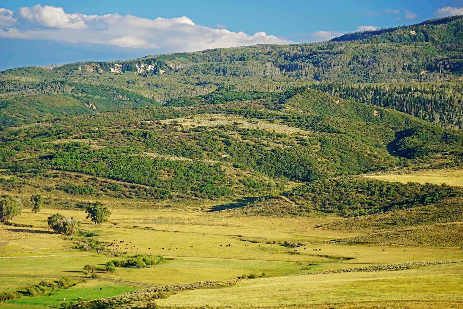 Motherwell Ranch property picture 63 of 128