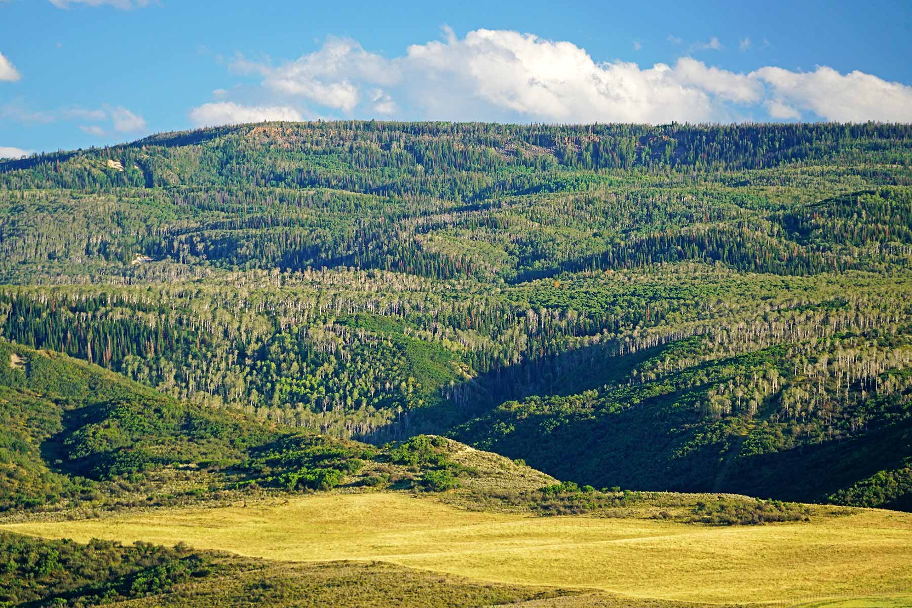 Motherwell Ranch property picture 34 of 128