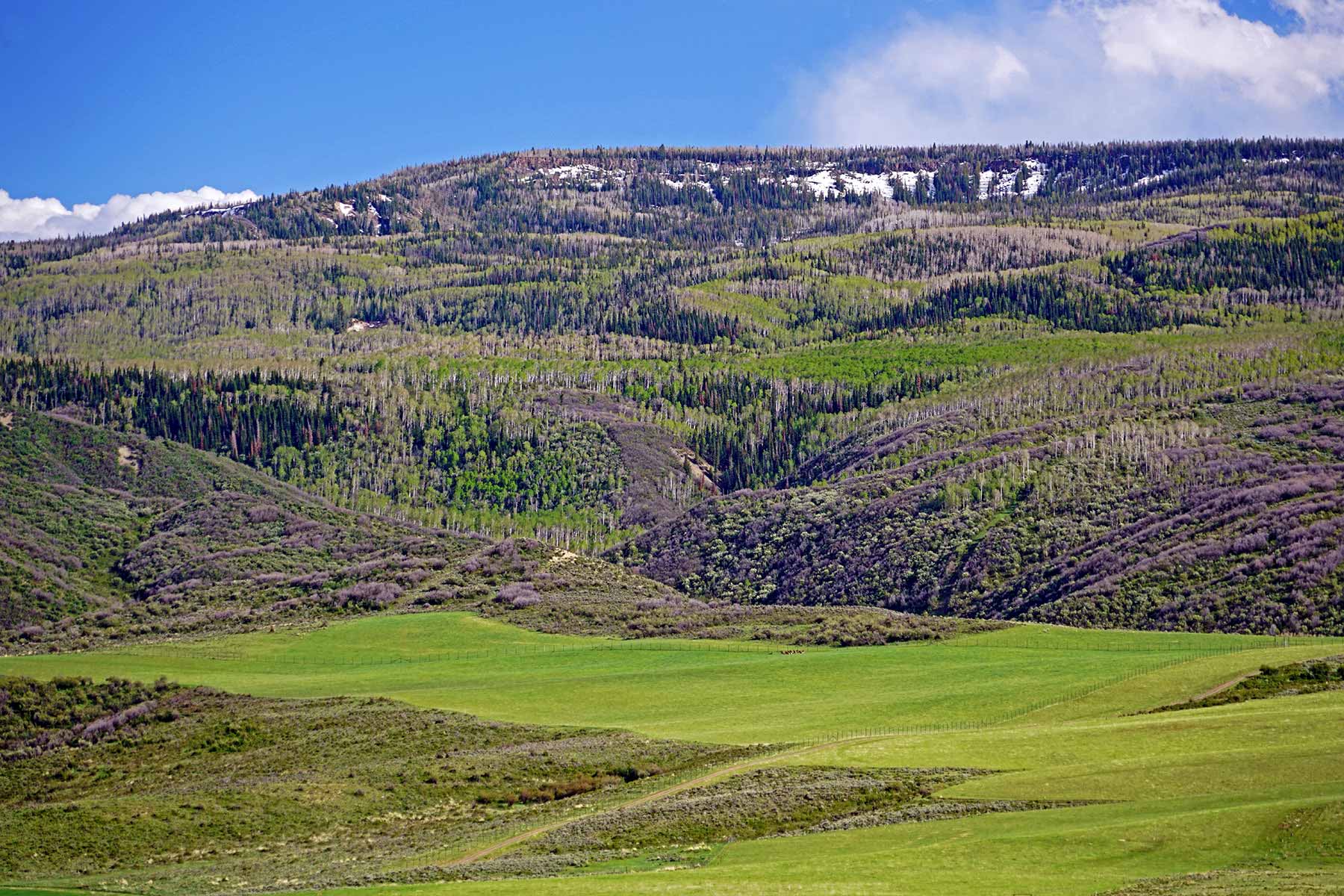 Motherwell Ranch property picture 85 of 128