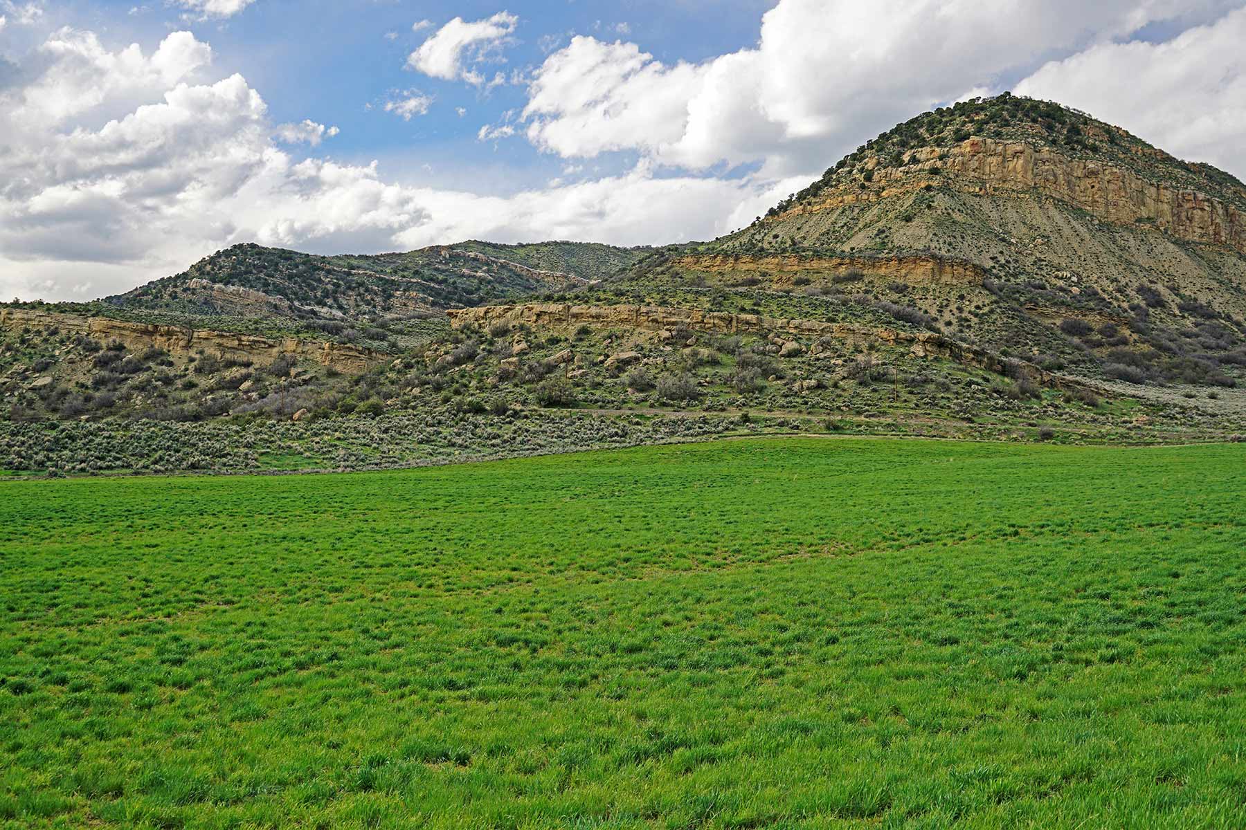 Motherwell Ranch property picture 88 of 128