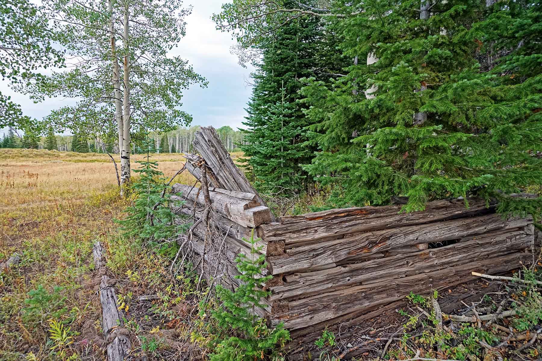 Motherwell Ranch property picture 107 of 128