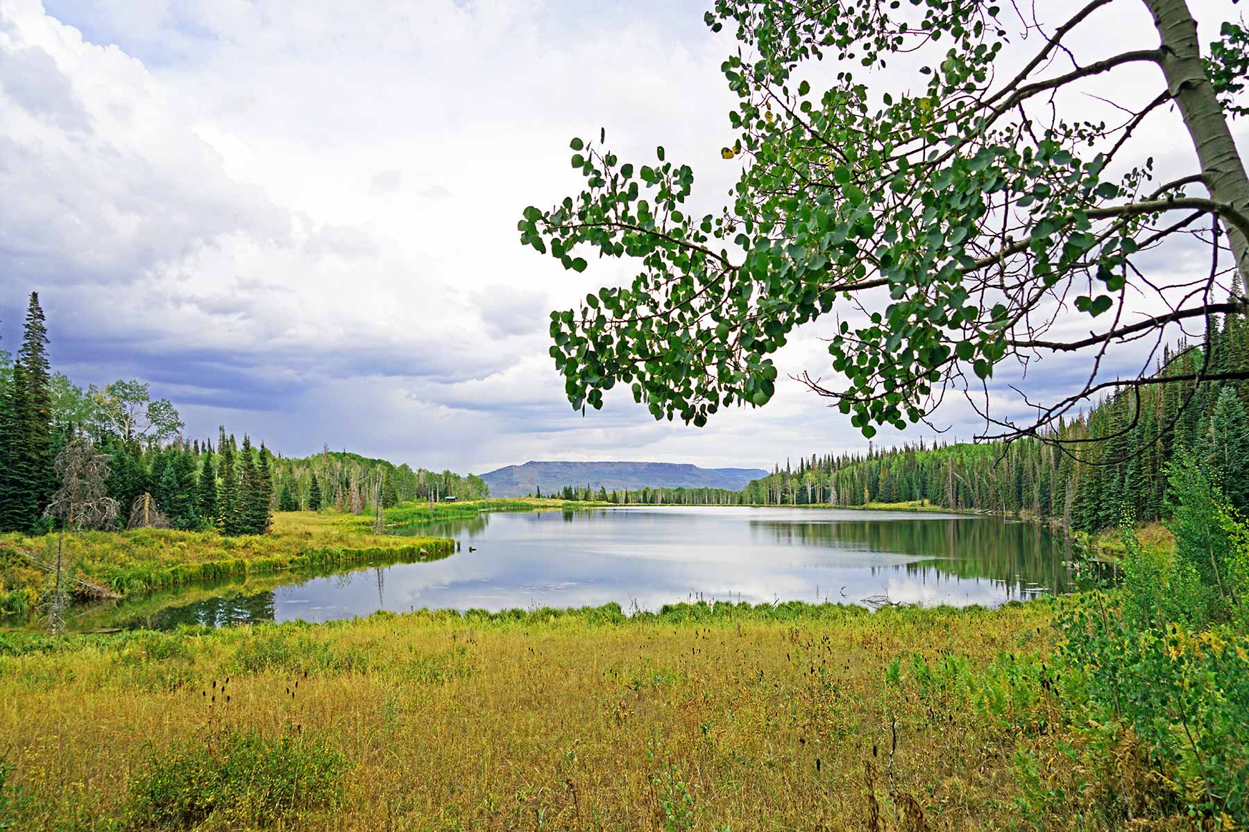 Motherwell Ranch property picture 108 of 128