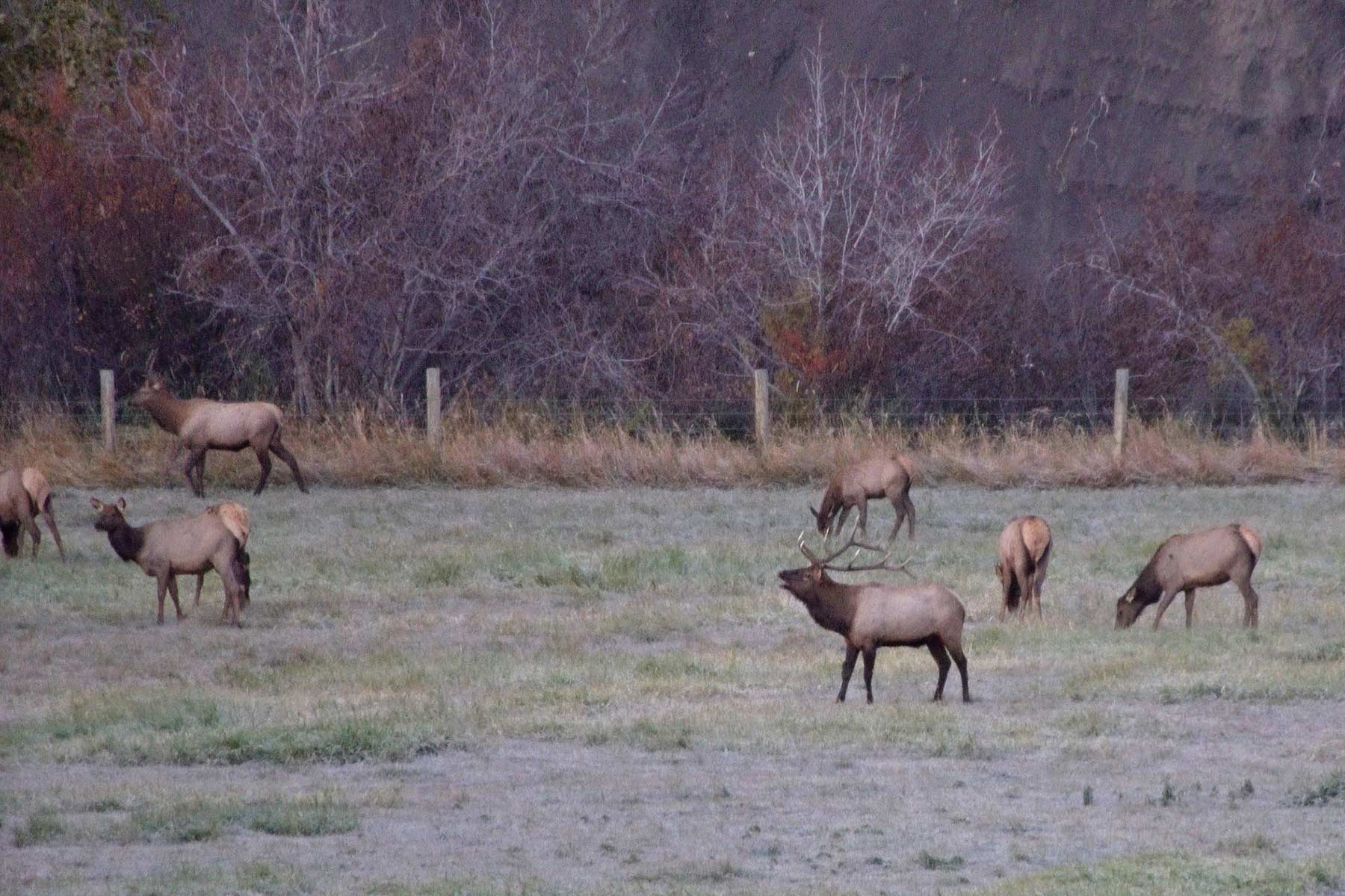 Motherwell Ranch property picture 27 of 128