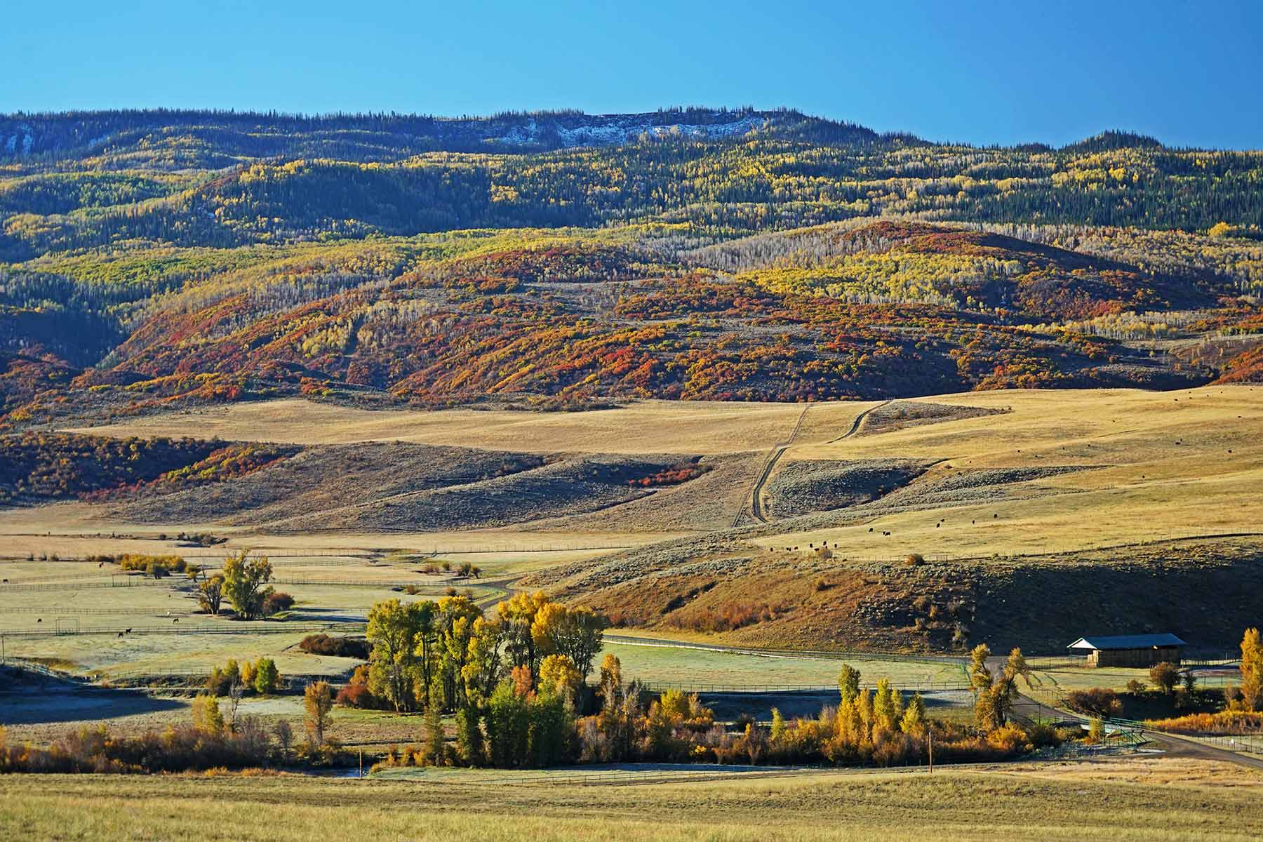 Motherwell Ranch property picture 11 of 128