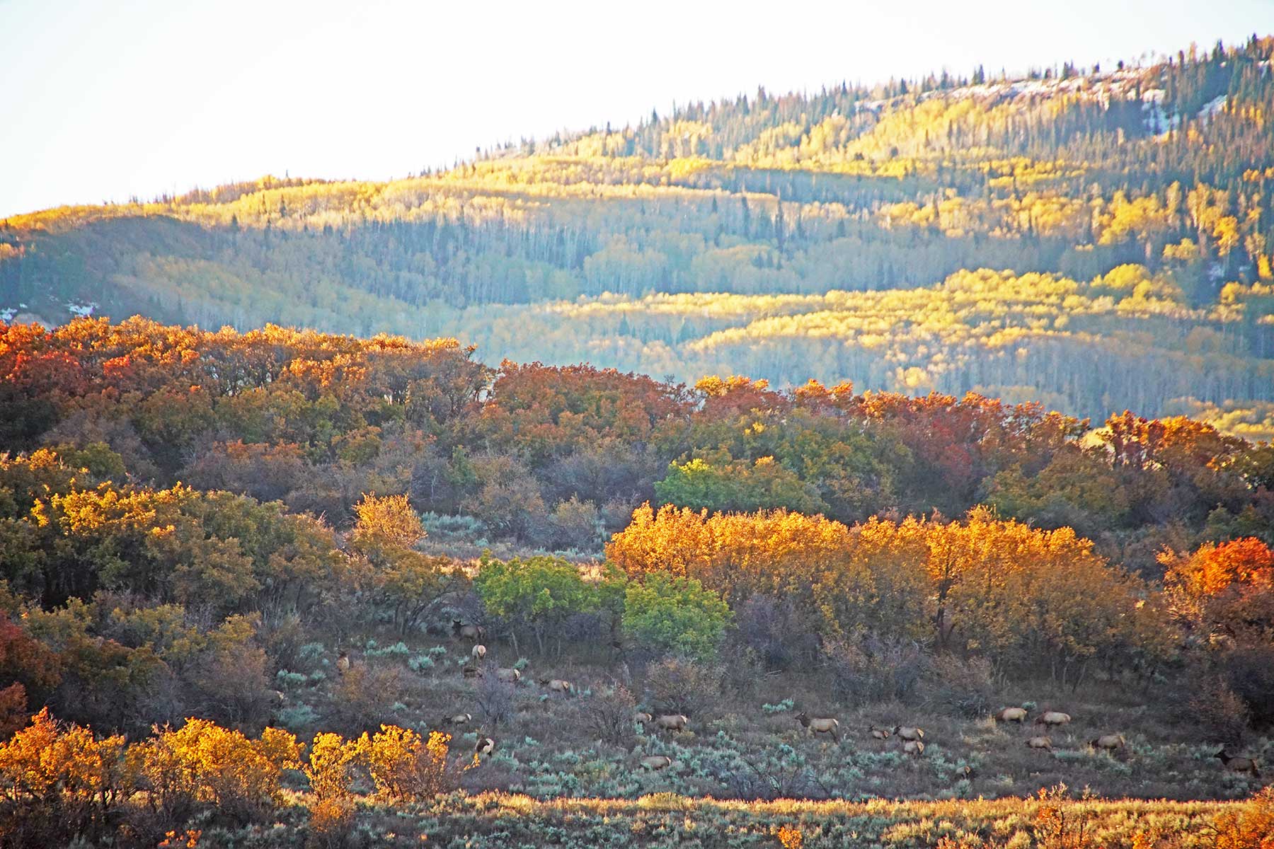 Motherwell Ranch property picture 80 of 128