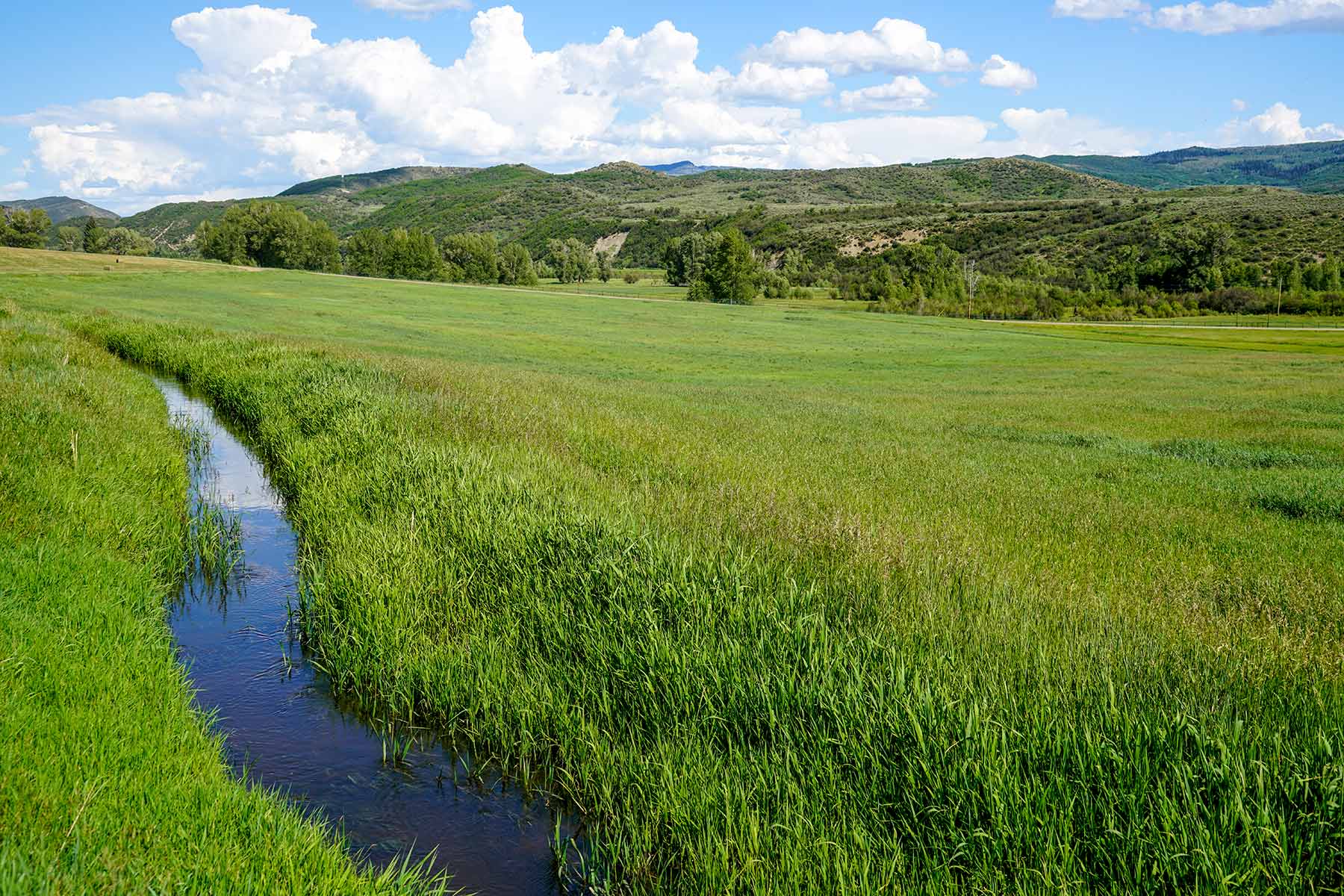 Motherwell Ranch property picture 23 of 128