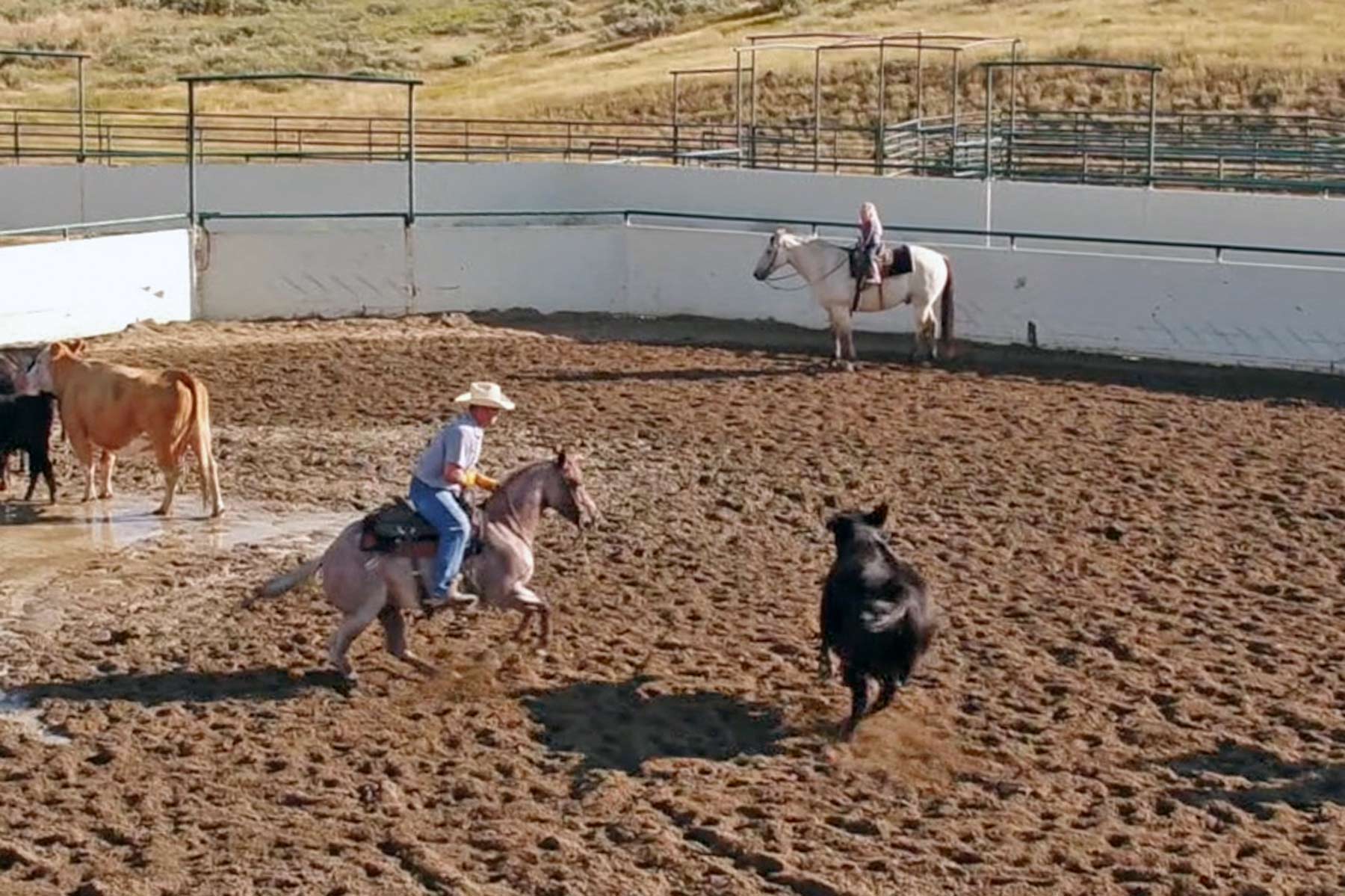 Motherwell Ranch property picture 73 of 128