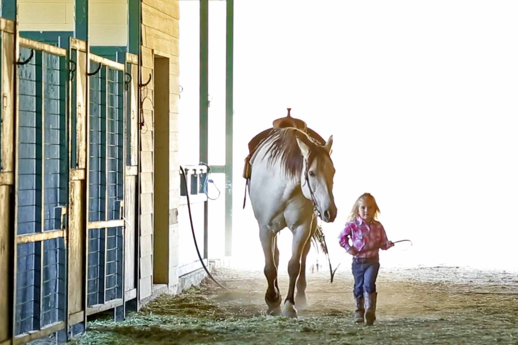 Motherwell Ranch property picture 75 of 128