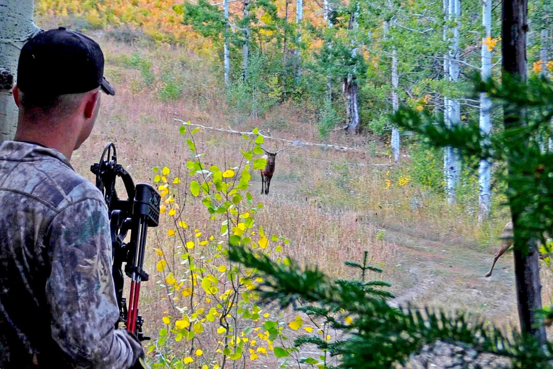 Motherwell Ranch property picture 116 of 128