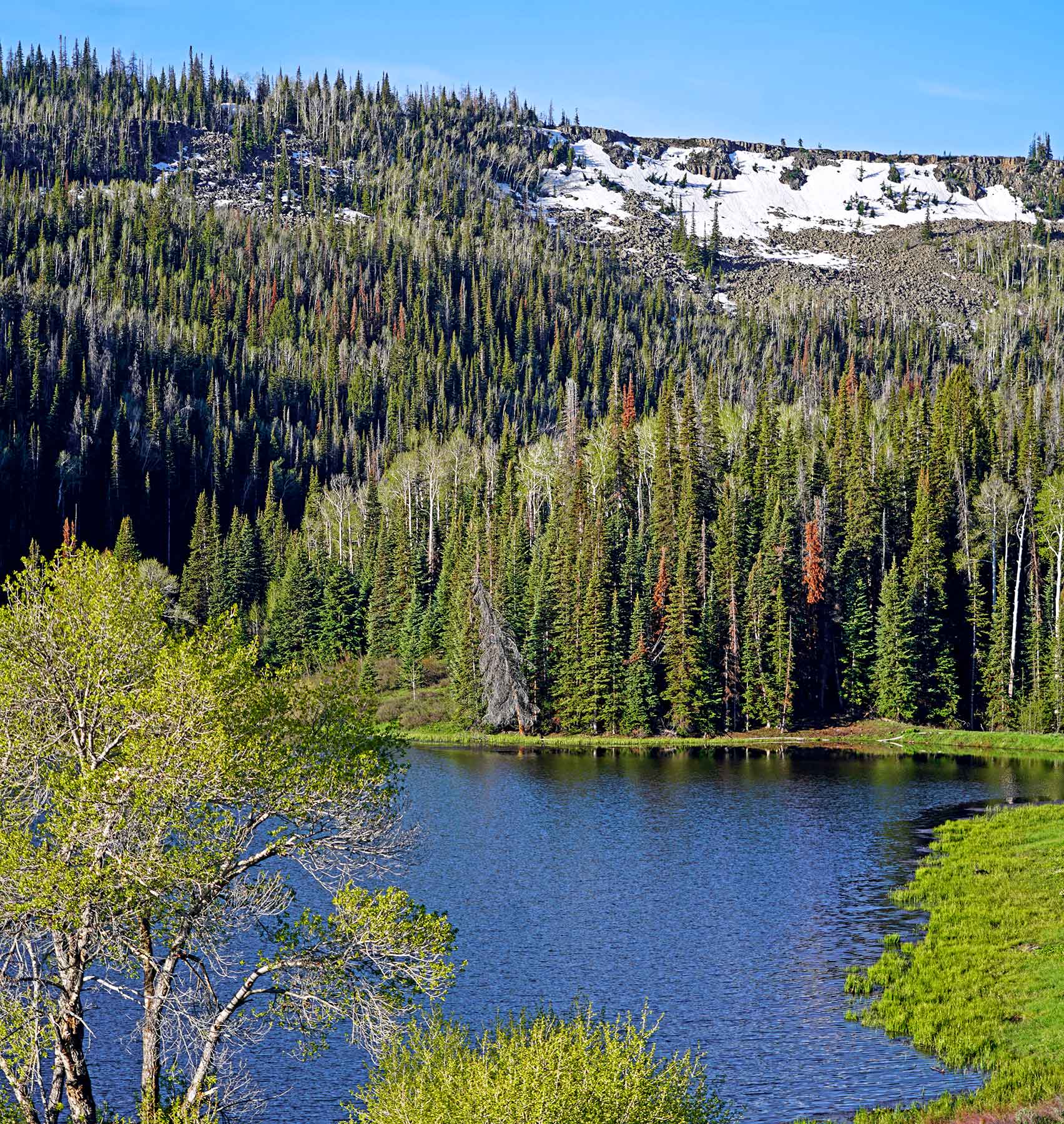Motherwell Ranch property picture 118 of 128