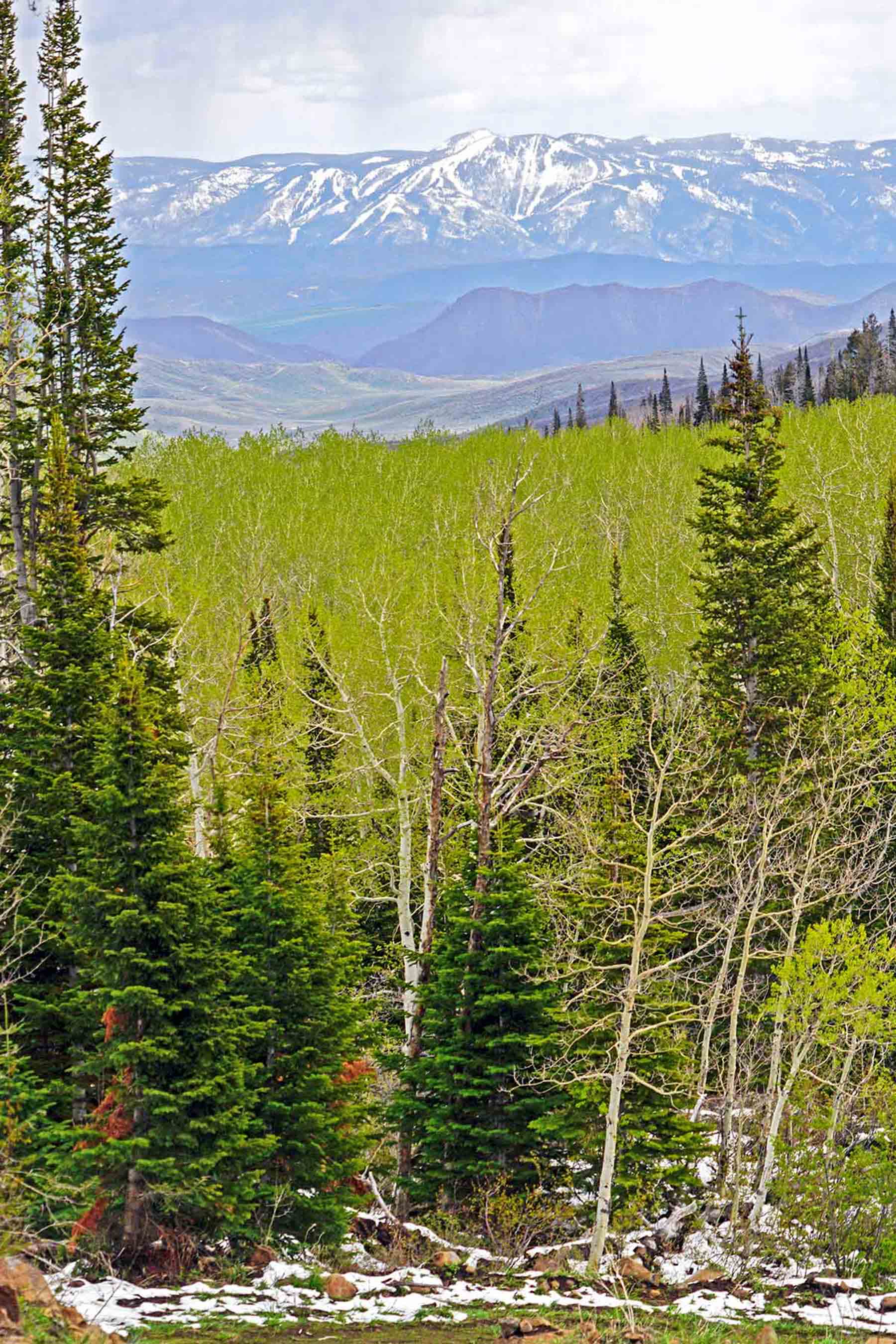 Motherwell Ranch property picture 120 of 128