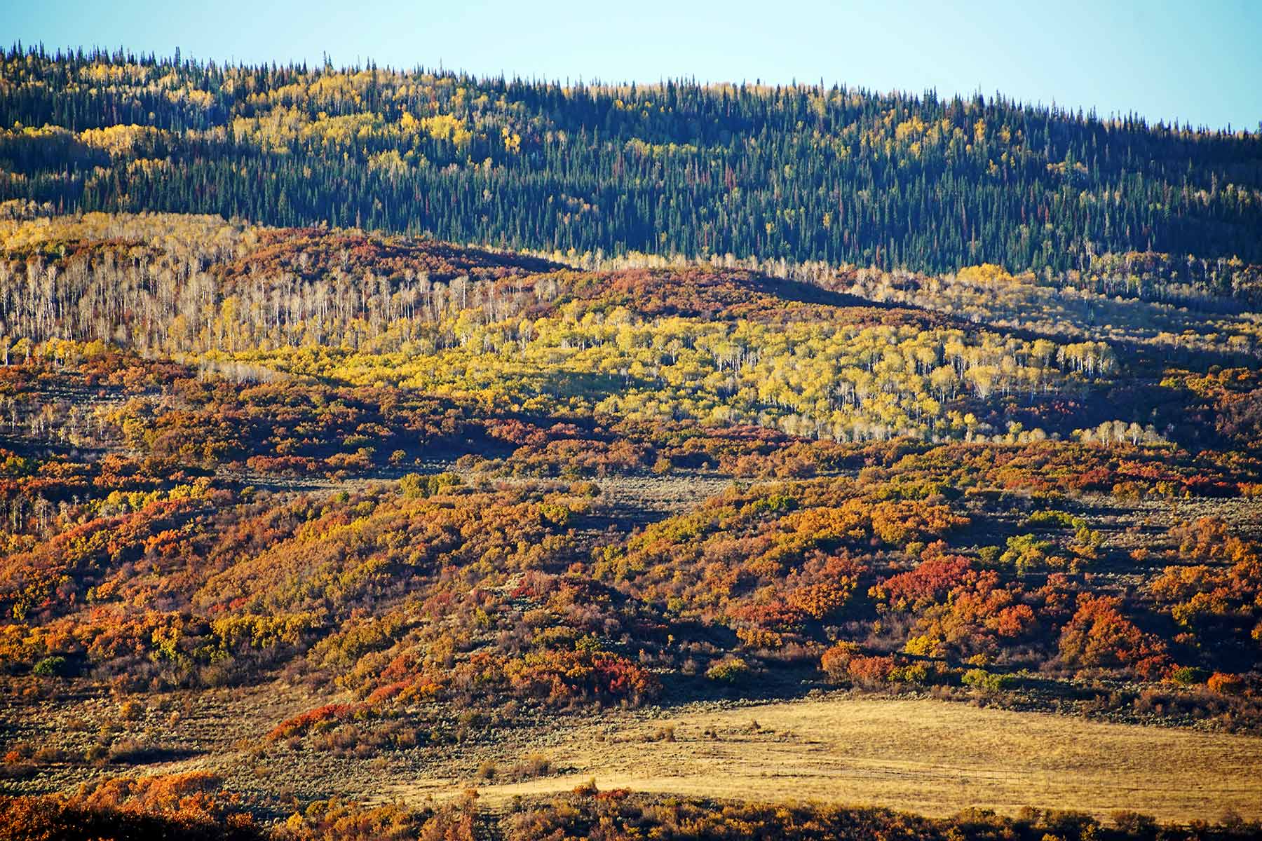 Motherwell Ranch property picture 123 of 128